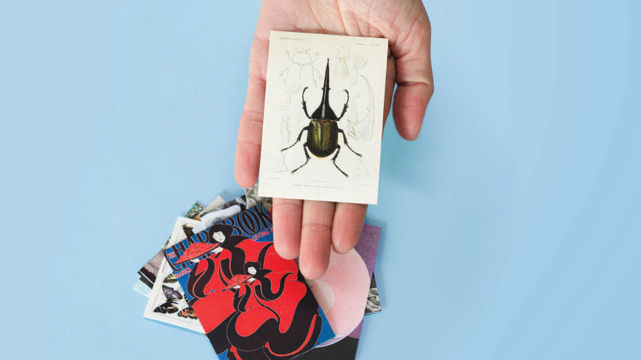 Entre ilustración, música y stickers: Así vivimos la "Semana del Sticker" en Pasquín