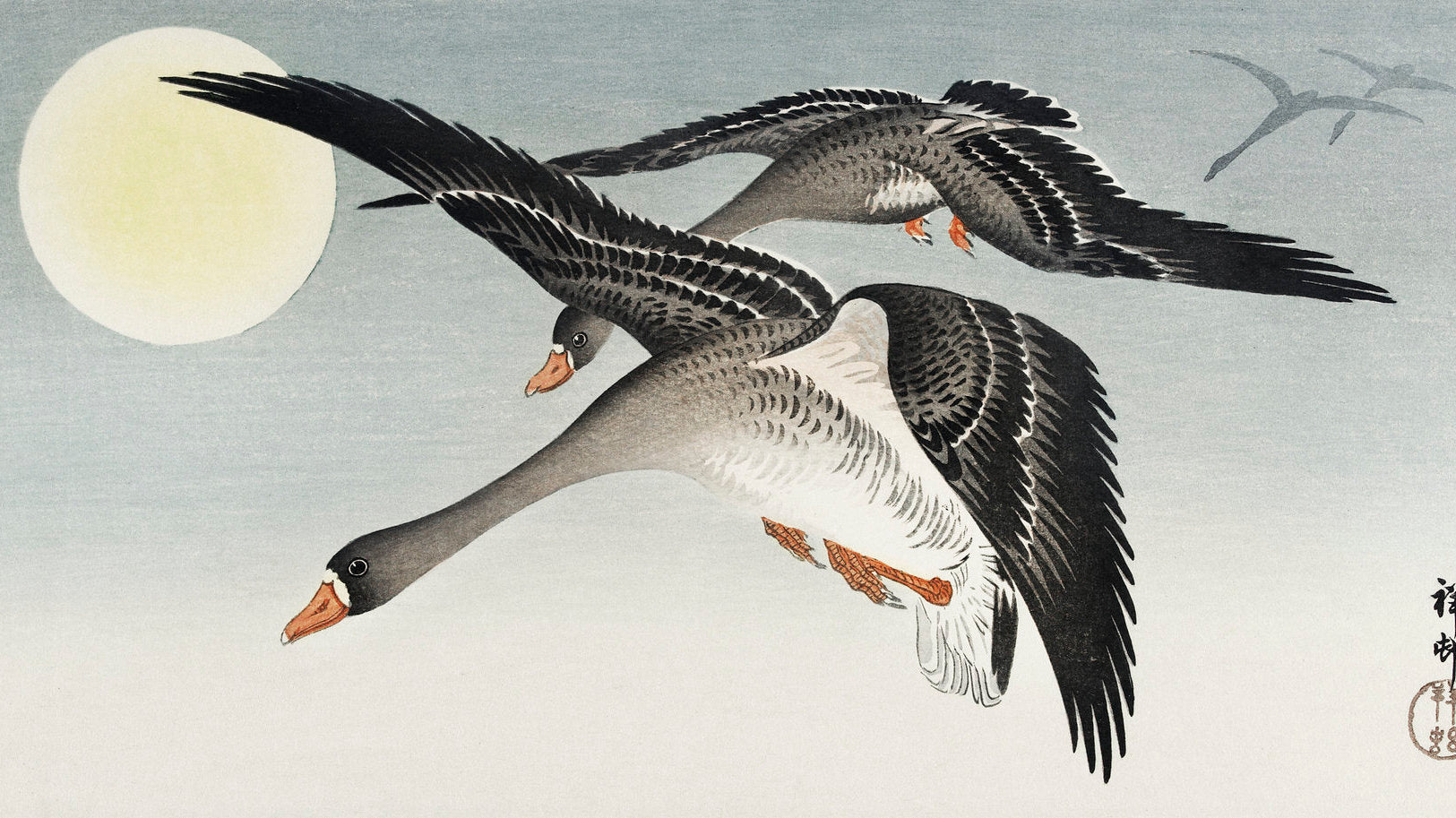 Ohara Koson: La naturaleza de Japón bajo la mirada del maestro del "kachō-e" - Tienda Pasquín