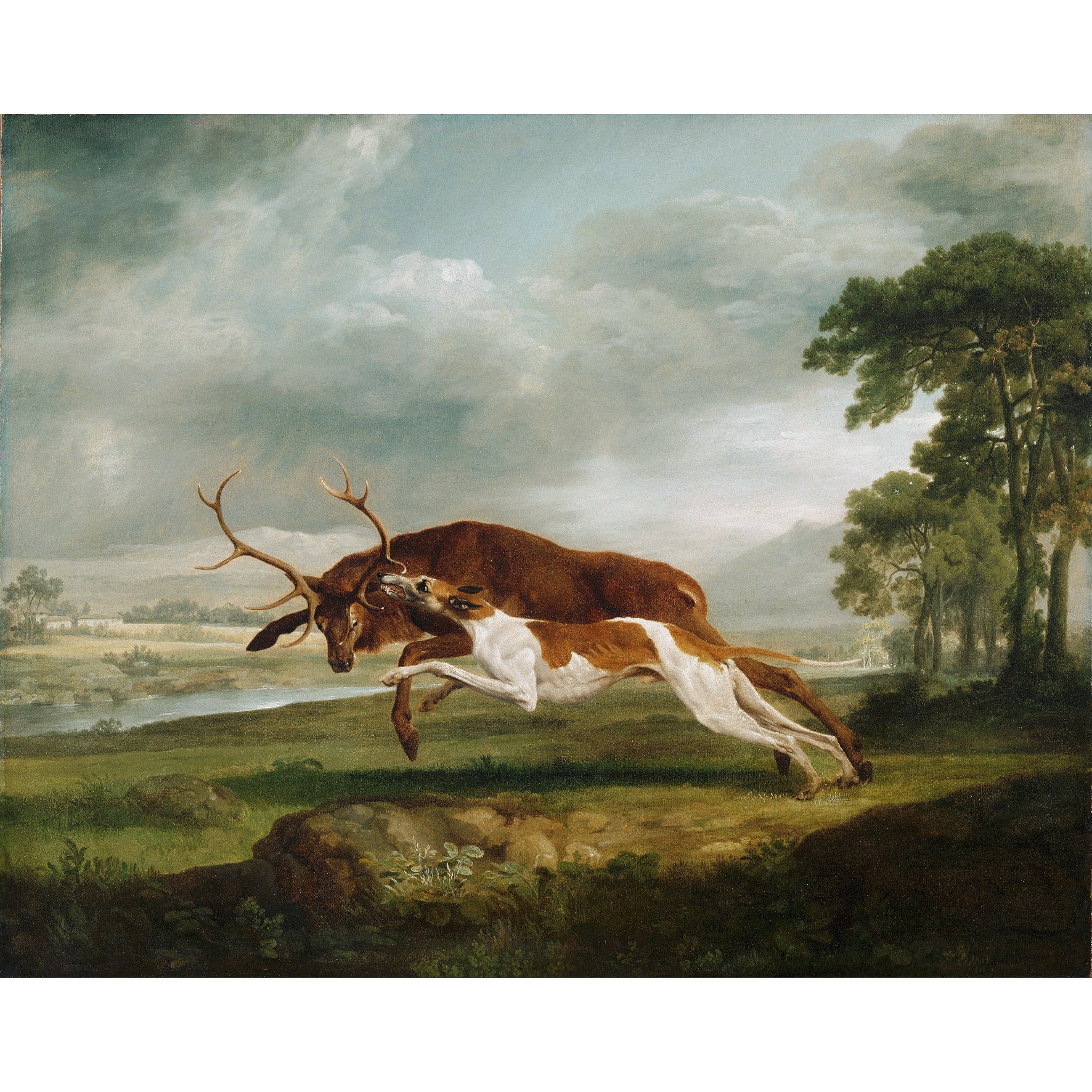 Decorative "Hound Coursing a Stag" by George Stubbs Poster | High - Quality Print | Repositionable Adhesive - Pasquín Store