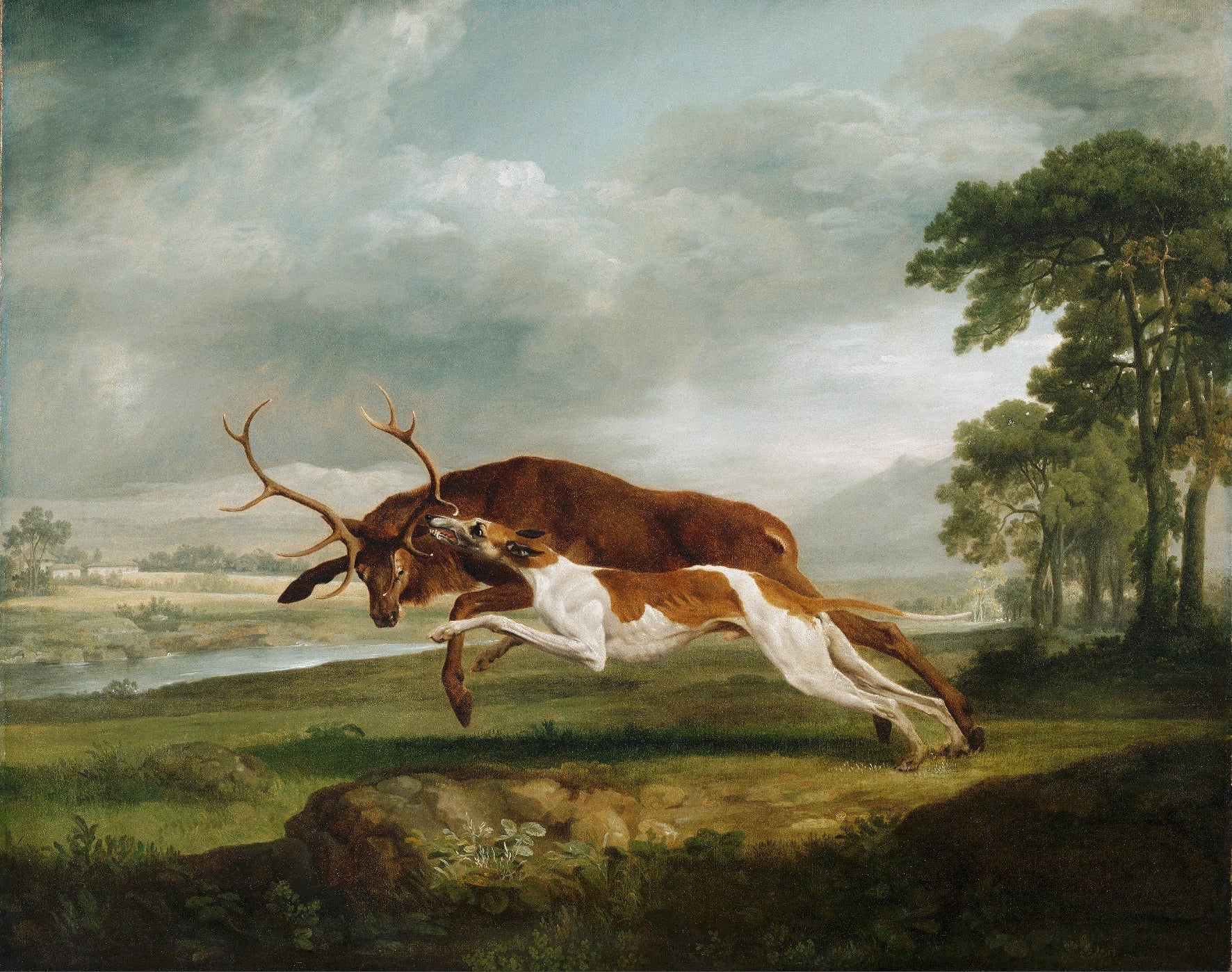 Decorative "Hound Coursing a Stag" by George Stubbs Poster | High - Quality Print | Repositionable Adhesive - Pasquín Store