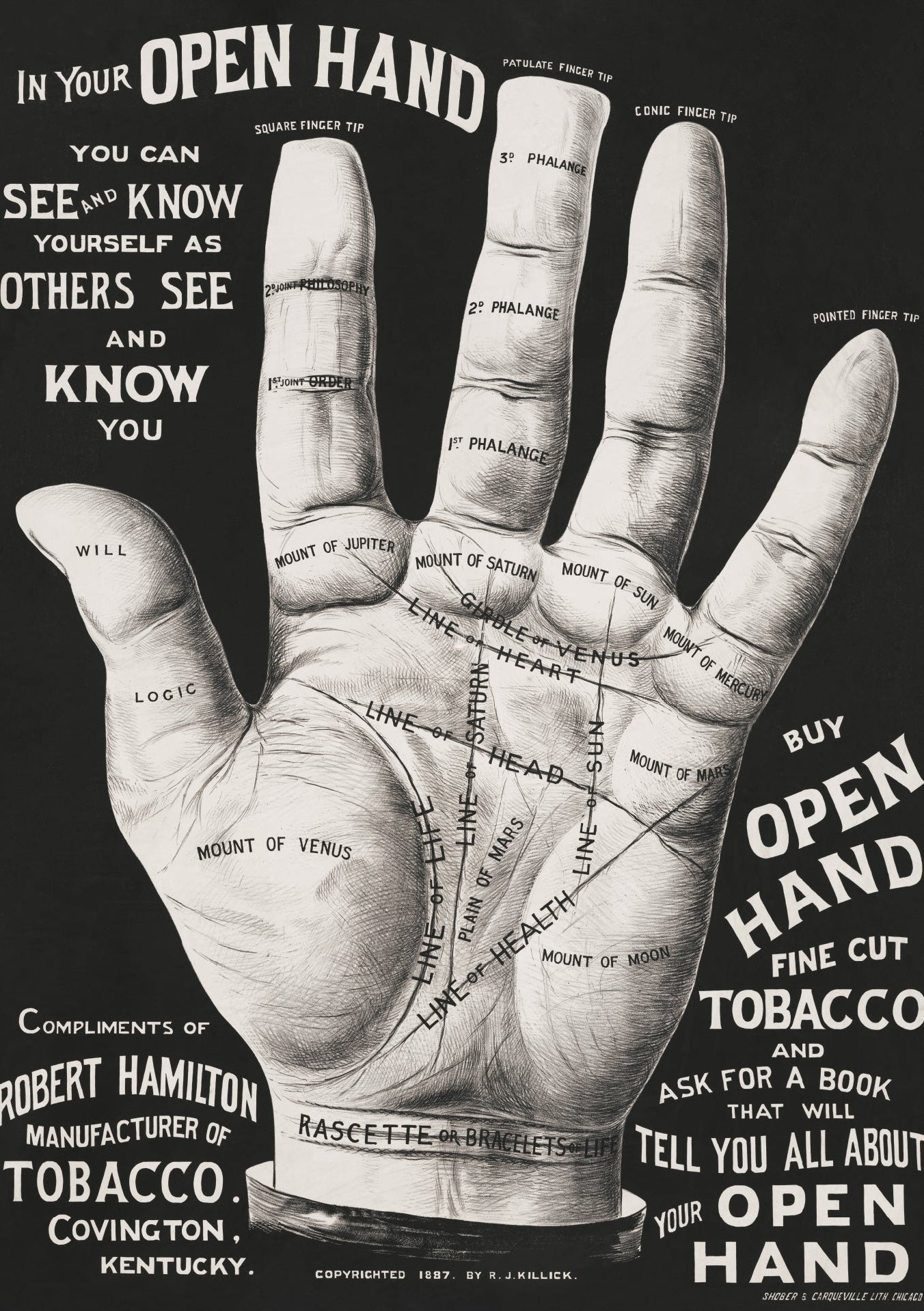 Decorative "Open Hand Cartel" by Robert Hamilton Poster | High - Quality Print | Repositionable Adhesive - Pasquín Store