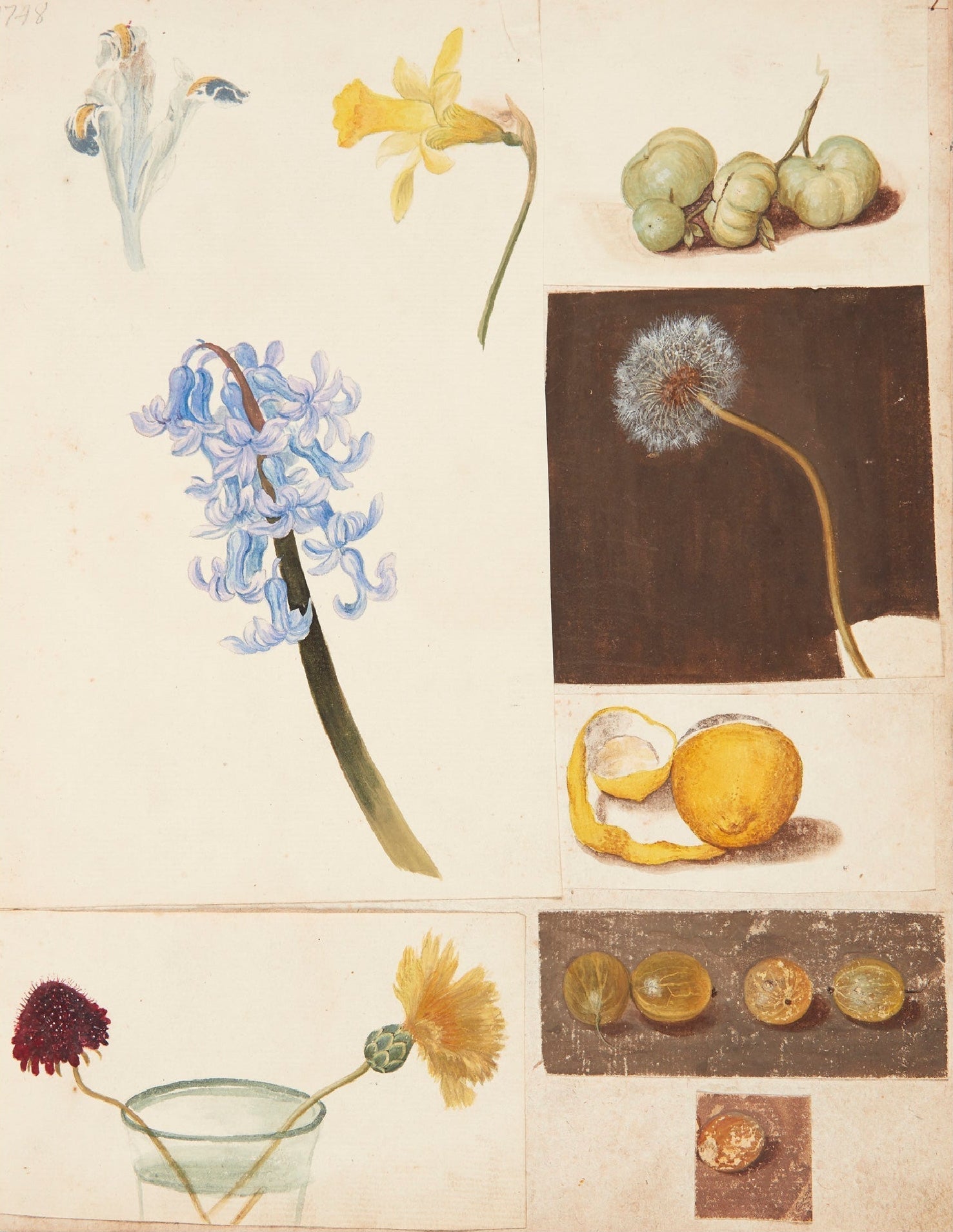 Decorative "Studie af Blomster, Frugter og Grønne Tomater (1748)" by Johanna Fosie Poster | High - Quality Print | Repositionable Adhesive - Pasquín