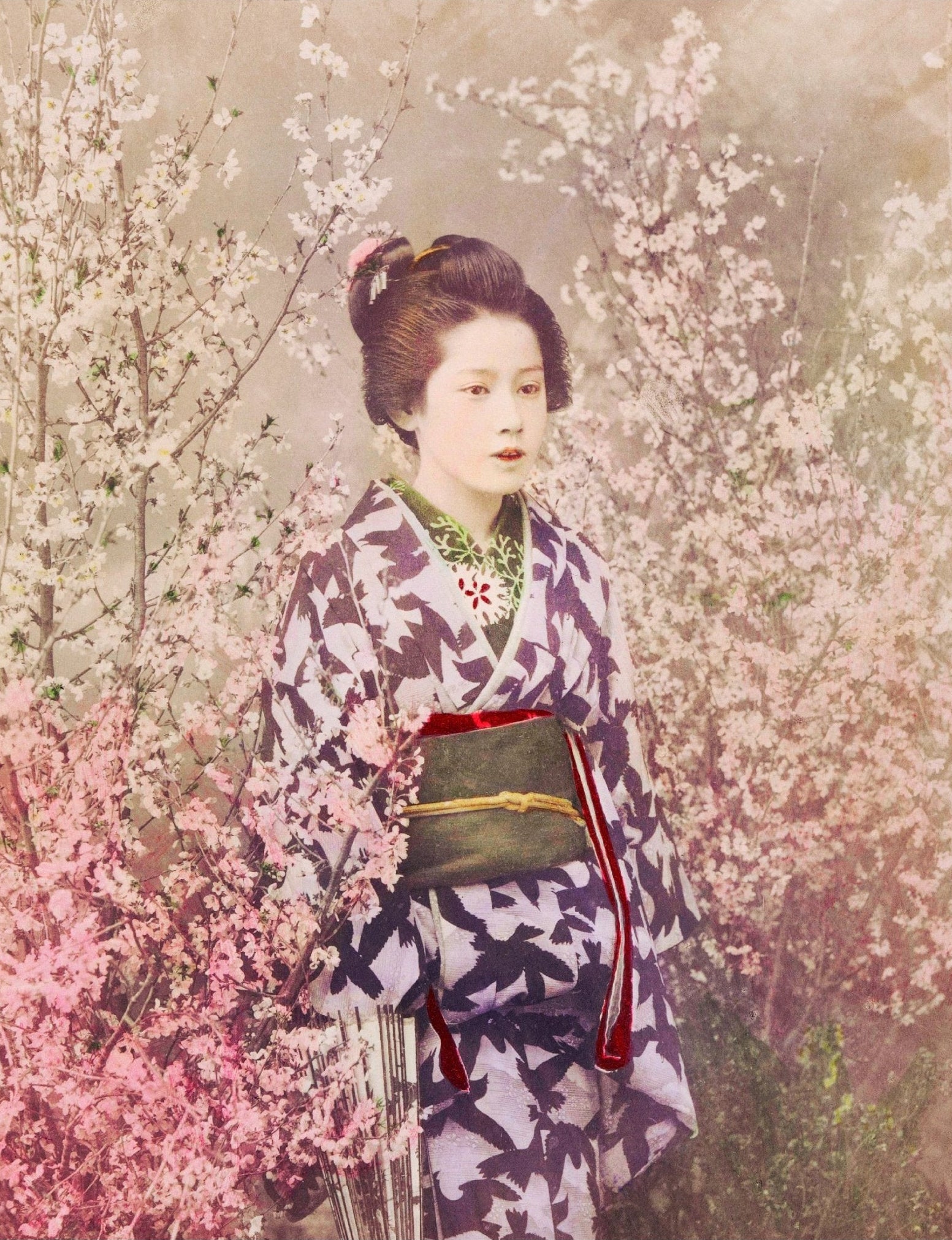 Handmade "Geisha and Cherry Blossom (1887–1897)" by Ogawa Kazumasa Poster | High - Quality Print | Repositionable Adhesive - Pasquín Store