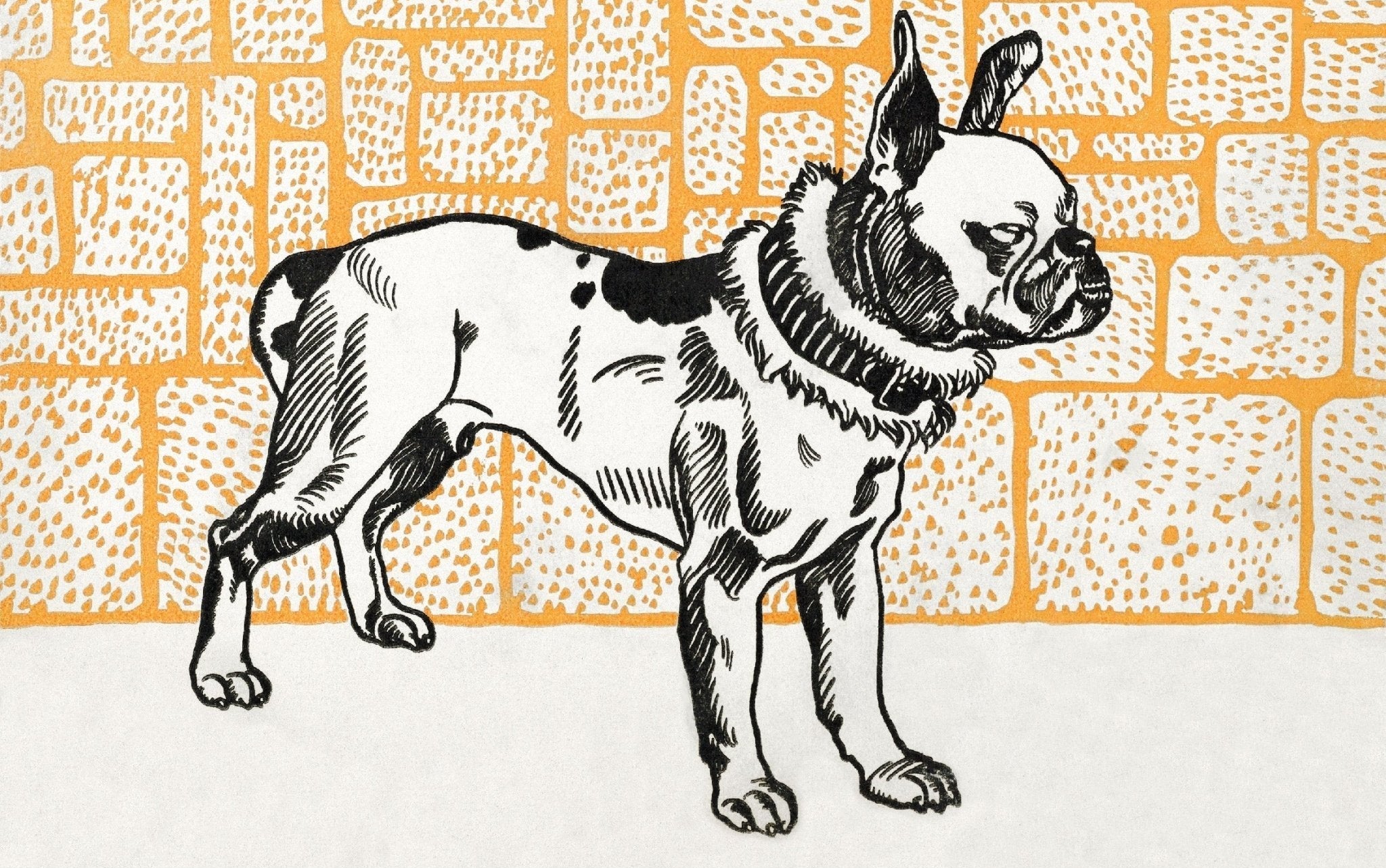Handmade Pitbull Terrier (1912) by Moriz Jung Poster | High - Quality Print | Repositionable Adhesive - Pasquín Store
