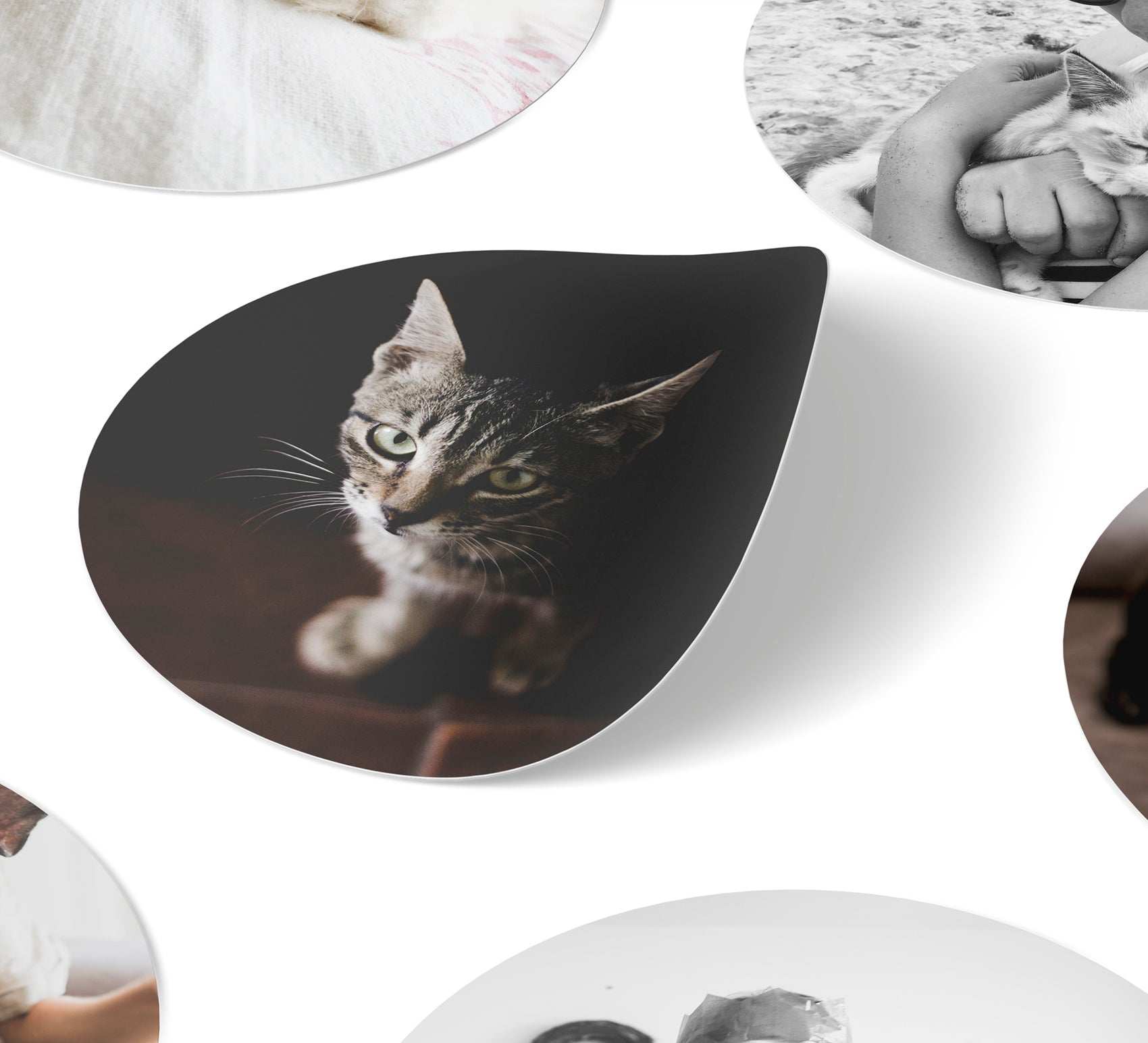 Stickers Personalizados Reposicionables - Arte a Medida para Paredes y Muebles - Pasquín Store