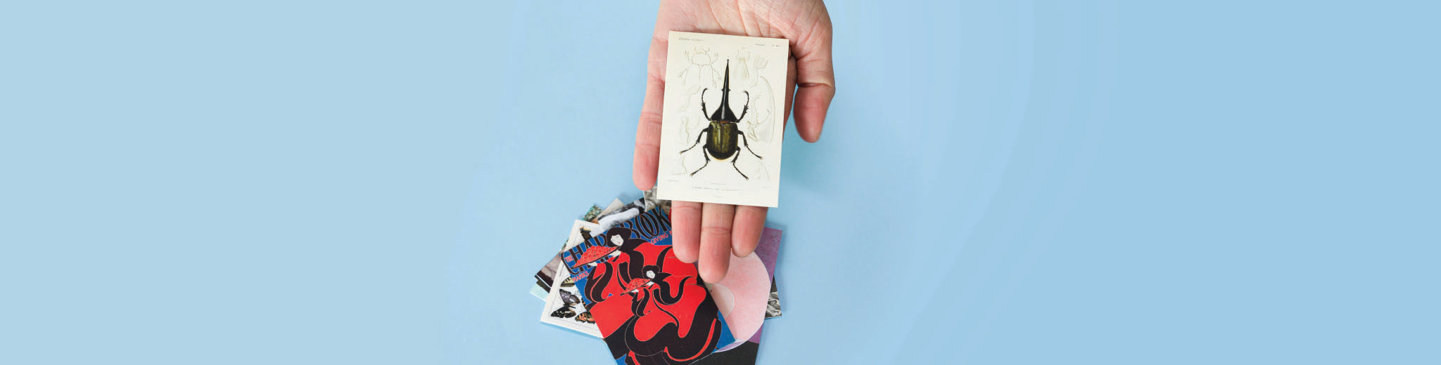 Entre ilustración, música y stickers: Así vivimos la "Semana del Sticker" en Pasquín