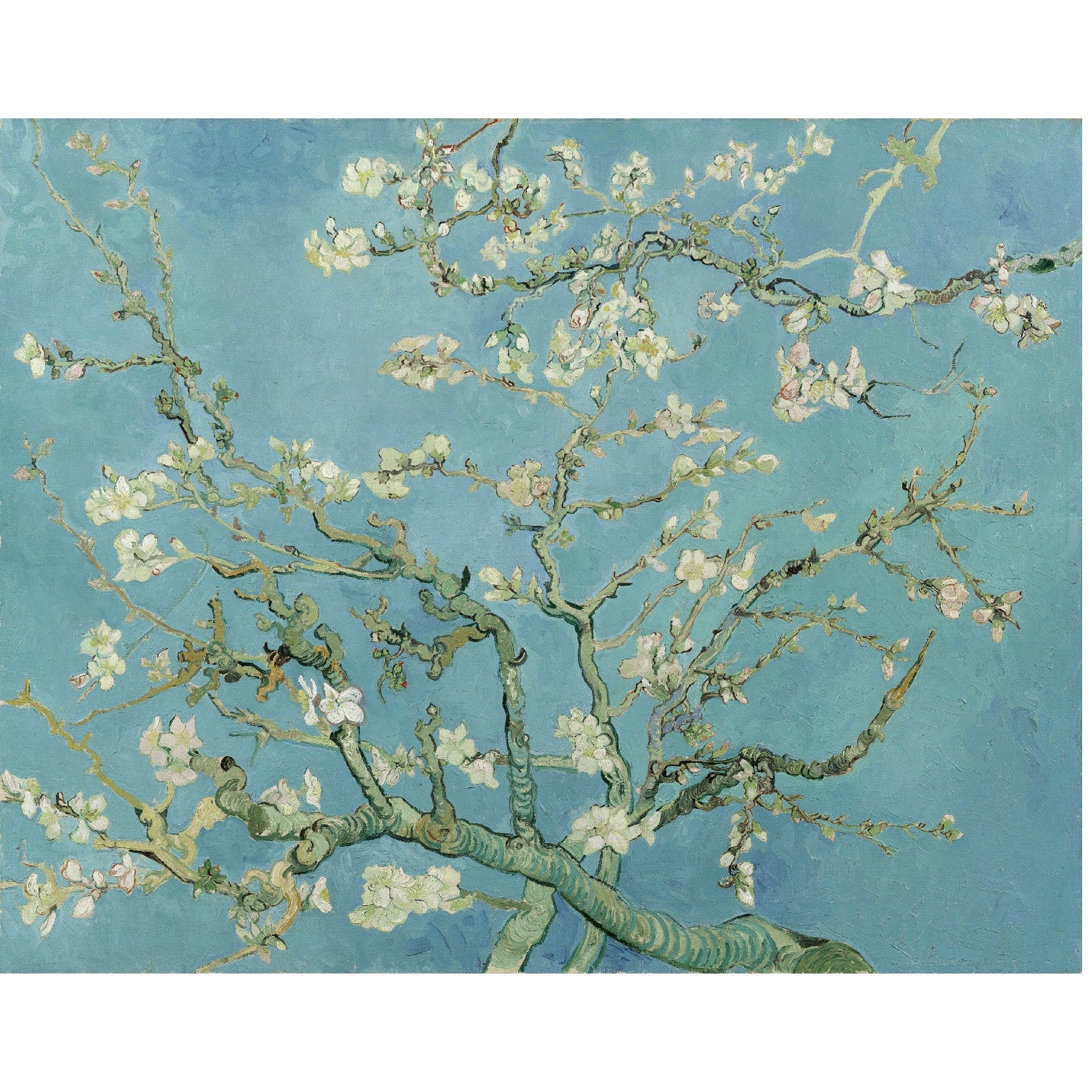 Decorative "Almond Blossom" by Vincent van Gogh Poster | High - Quality Print | Repositionable Adhesive - Pasquín Store