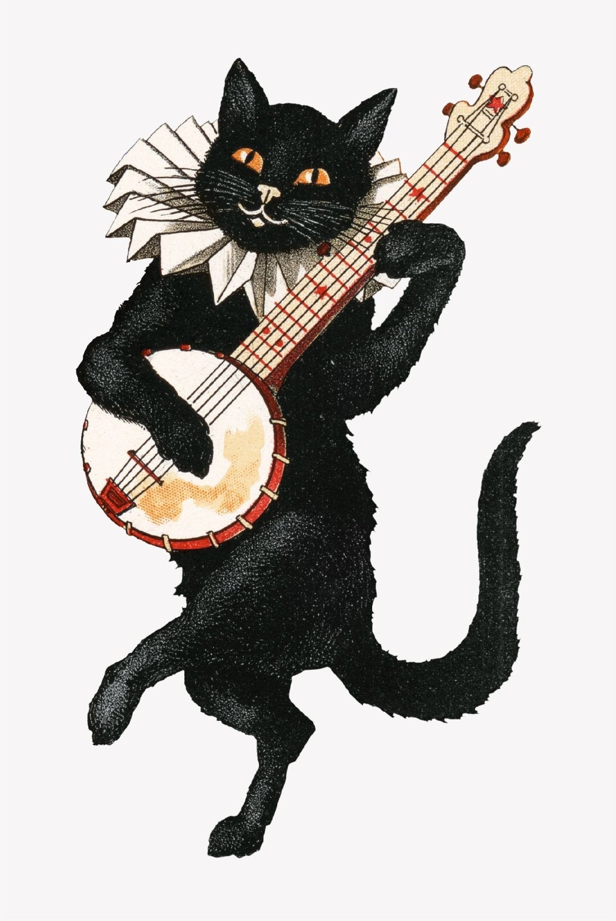 Decorative "Black Cat Vintage (Detail)" Poster | High - Quality Print | Repositionable Adhesive - Pasquín