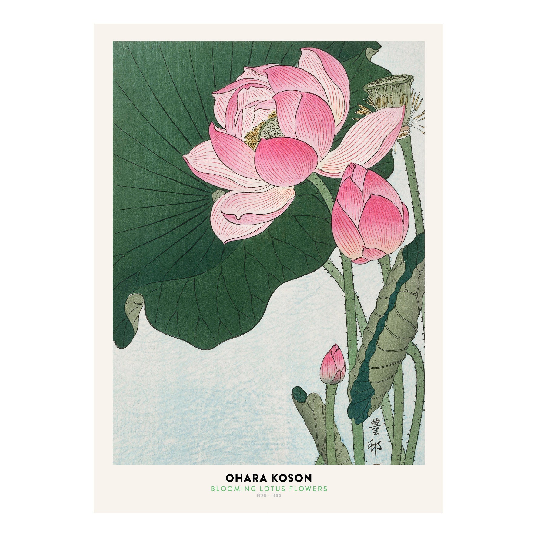 Decorative "Blooming Lotus Flowers" by Ohara Koson Poster | High - Quality Print | Repositionable Adhesive - Pasquín Store