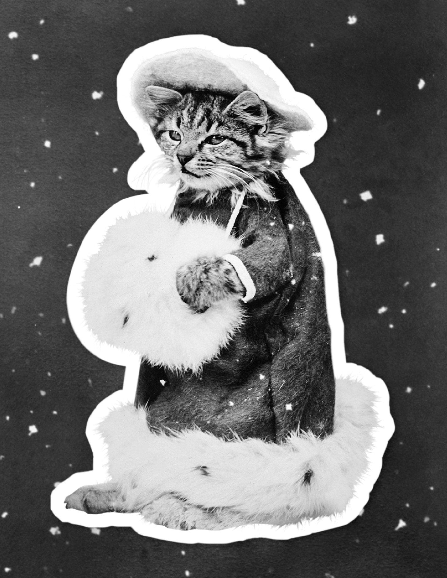 Decorative "Christmas Cat" Poster | High - Quality Print | Repositionable Adhesive - Pasquín