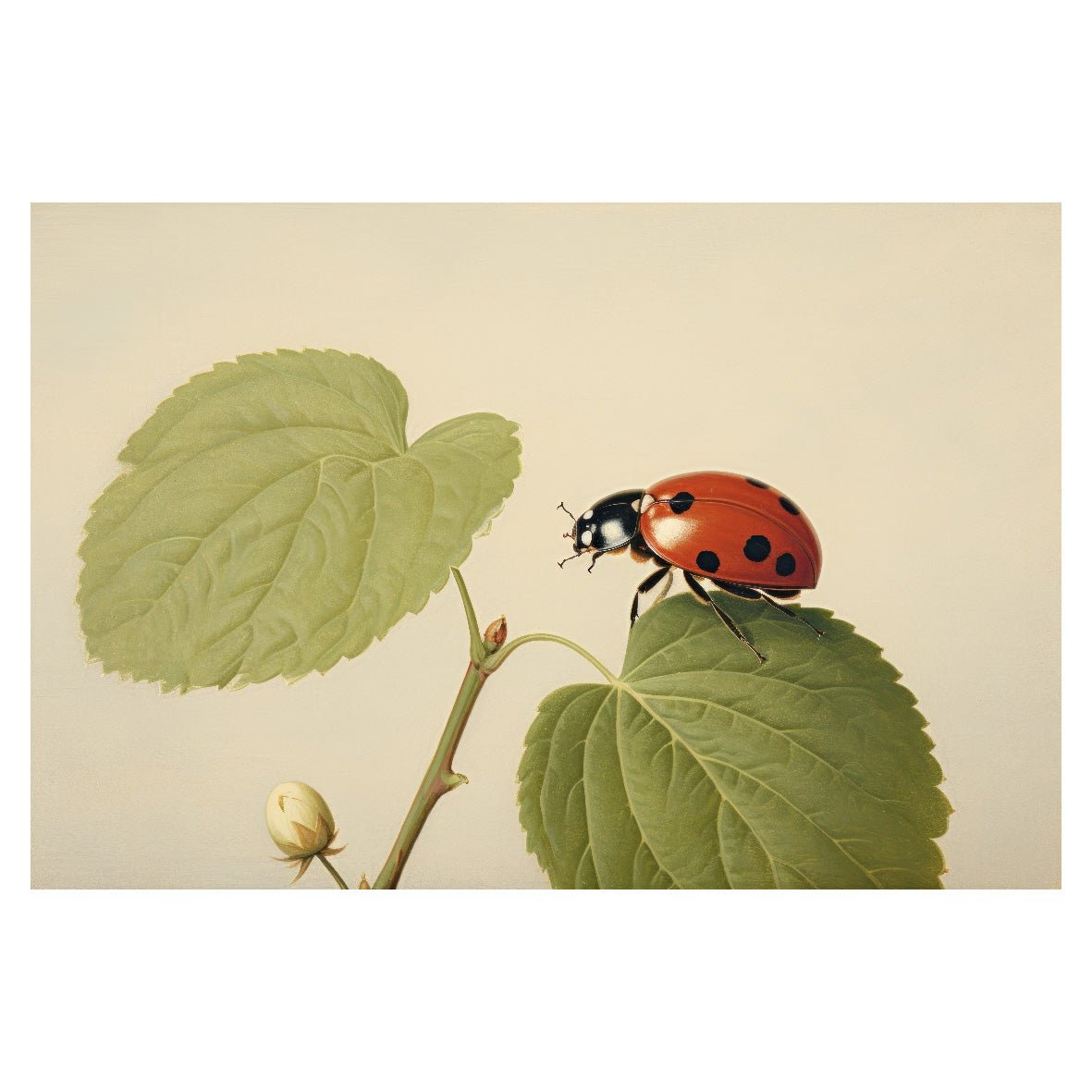 Decorative "Coquette Collection: Little Ladybug" Posters | High - Quality Print | Repositionable Adhesive - Pasquín