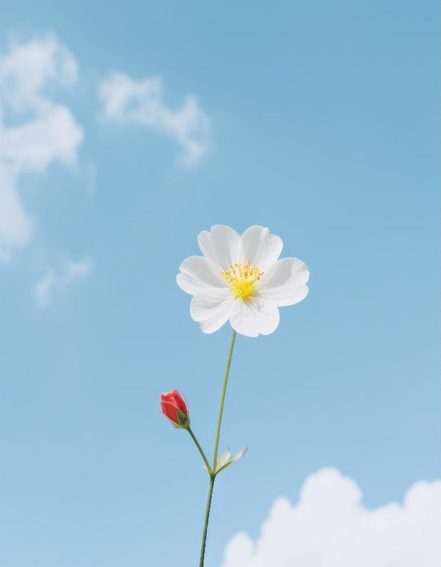 Decorative "Flower and Sky View" Poster | High - Quality Print | Repositionable Adhesive - Pasquín