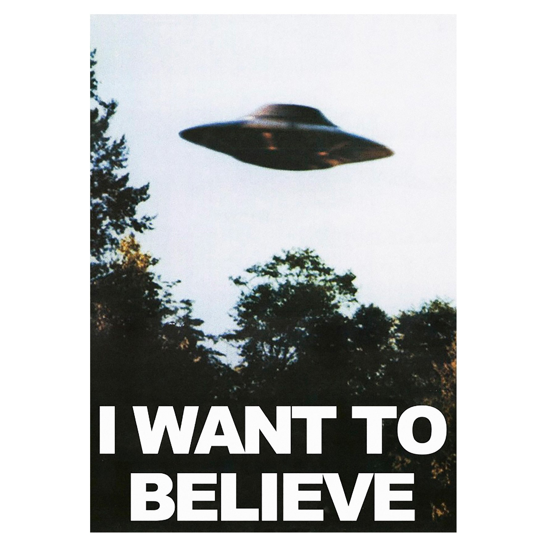 Decorative "I Want To Believe" by The X - Files Poster | High - Quality Print | Repositionable Adhesive - Pasquín Store