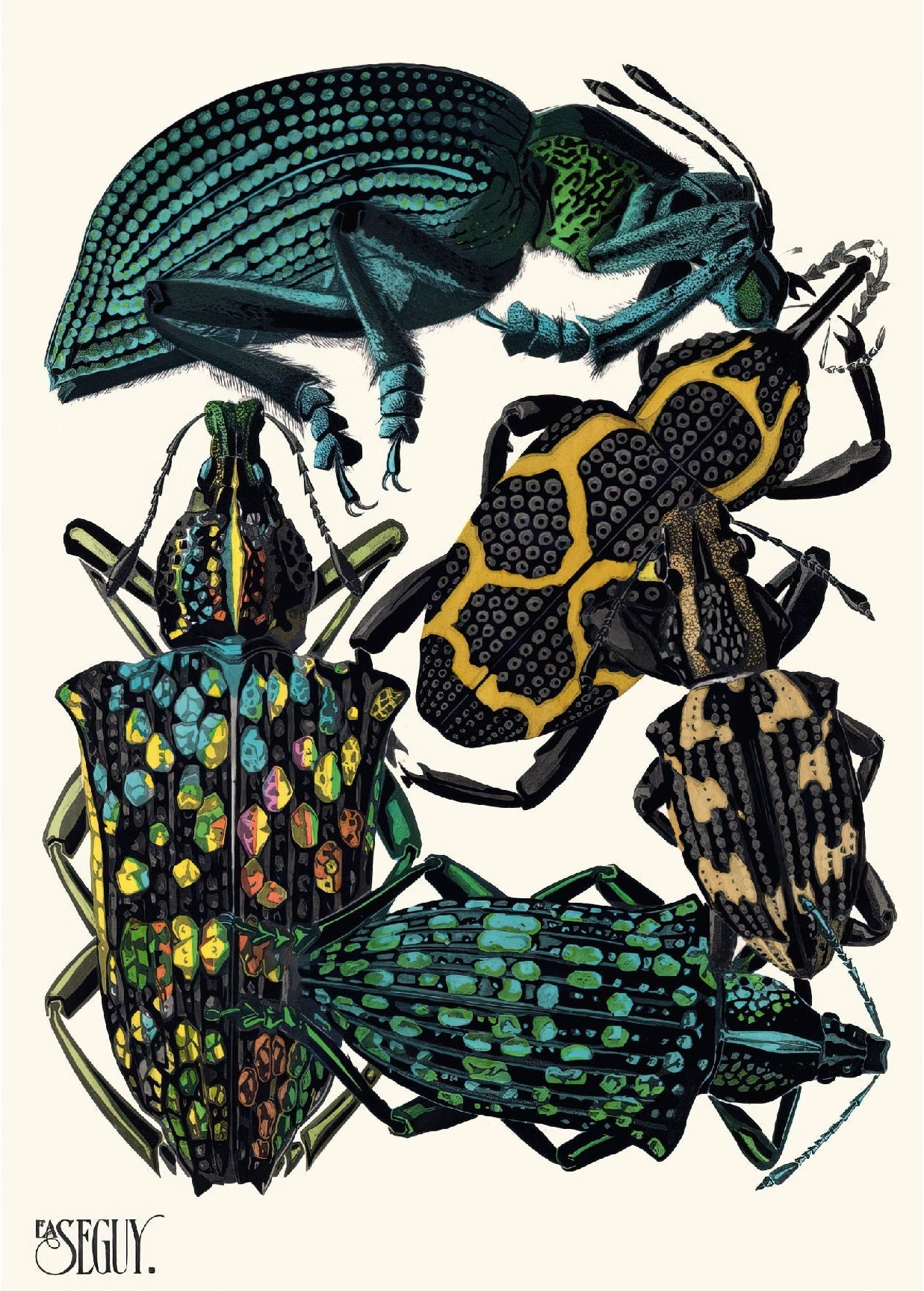 Decorative "Insectes" by Émile - Allain Séguy Poster | High - Quality Print | Repositionable Adhesive - Pasquín