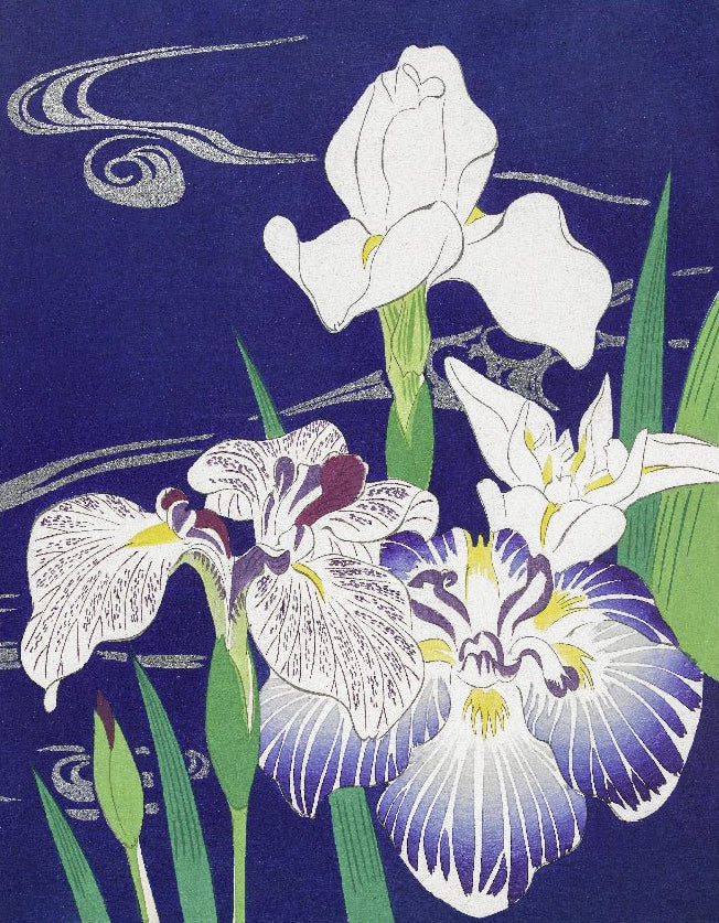 Decorative "Irises" (1890–1900) by Kogyo Tsukioka Poster | High - Quality Print | Repositionable Adhesive - Pasquín