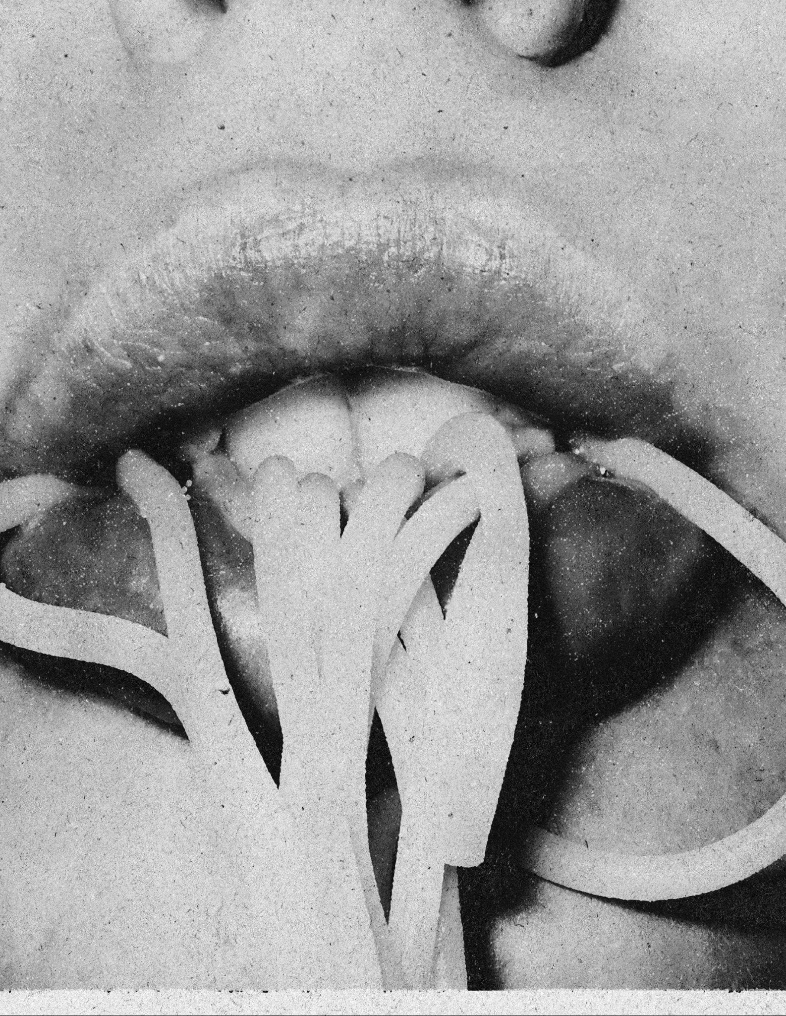 Decorative "Macro Lips" Poster | High - Quality Print | Repositionable Adhesive - Pasquín