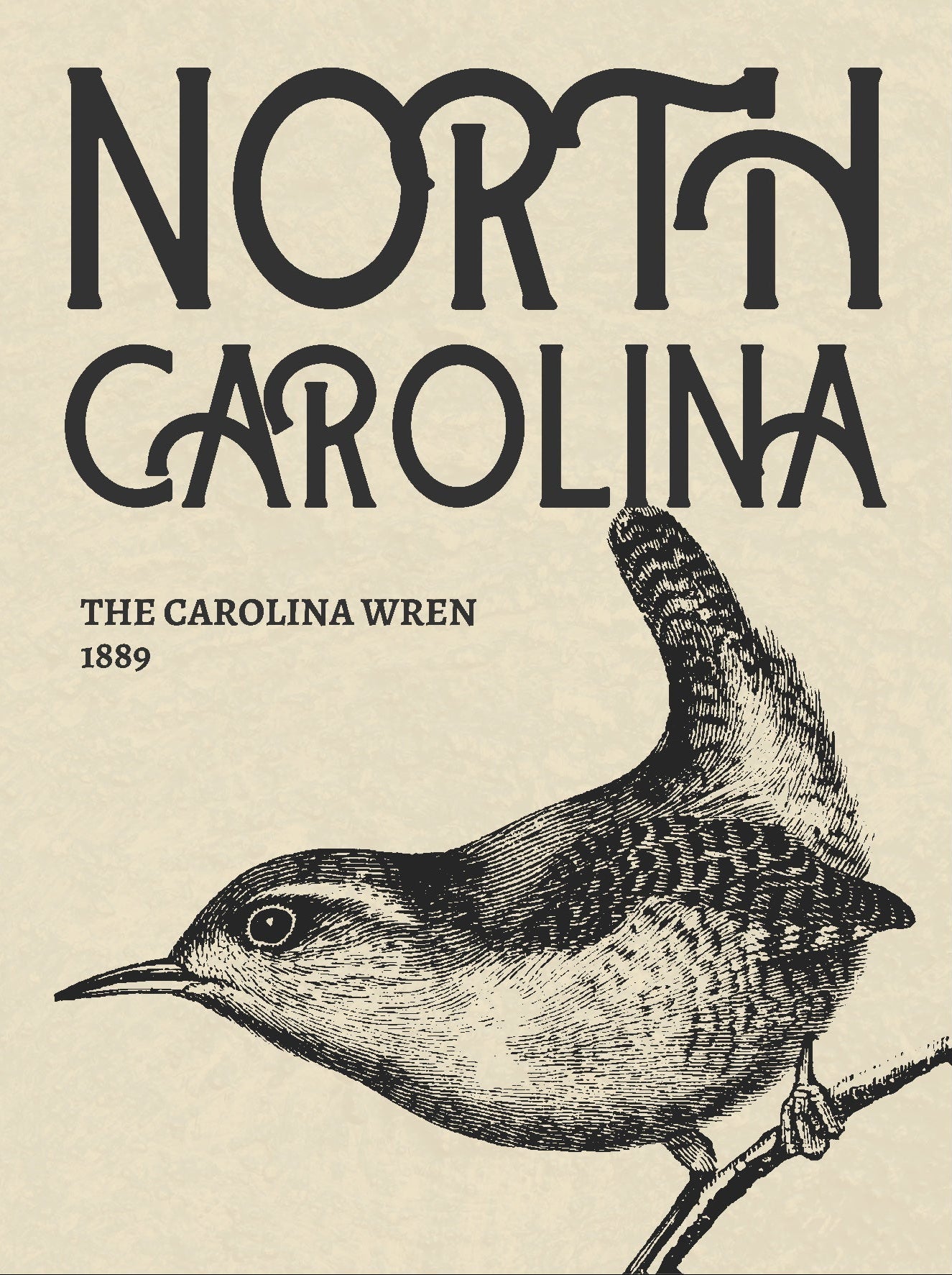 Decorative "North Carolina Cartel" Poster | High - Quality Print | Repositionable Adhesive - Pasquín