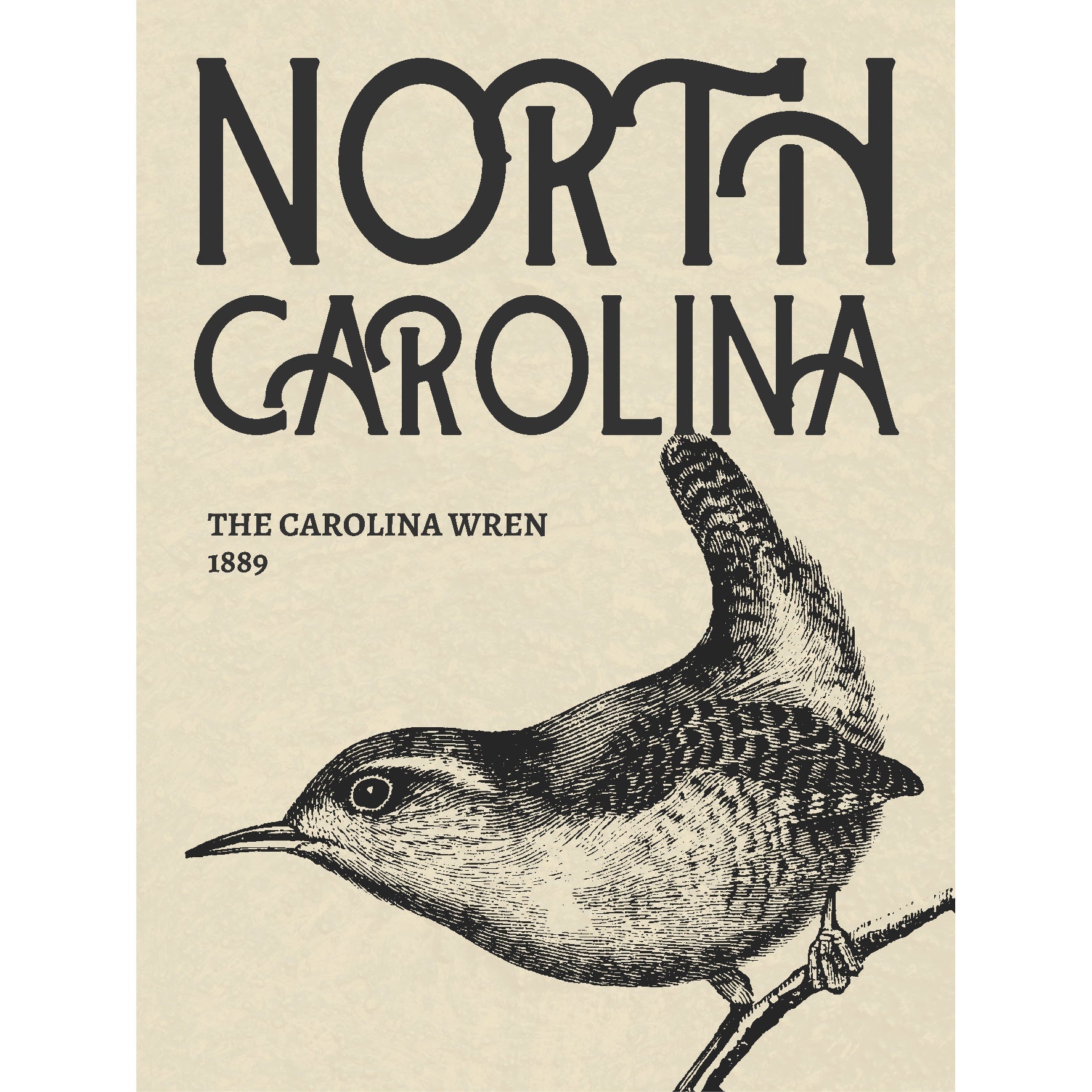 Decorative "North Carolina Cartel" Poster | High - Quality Print | Repositionable Adhesive - Pasquín