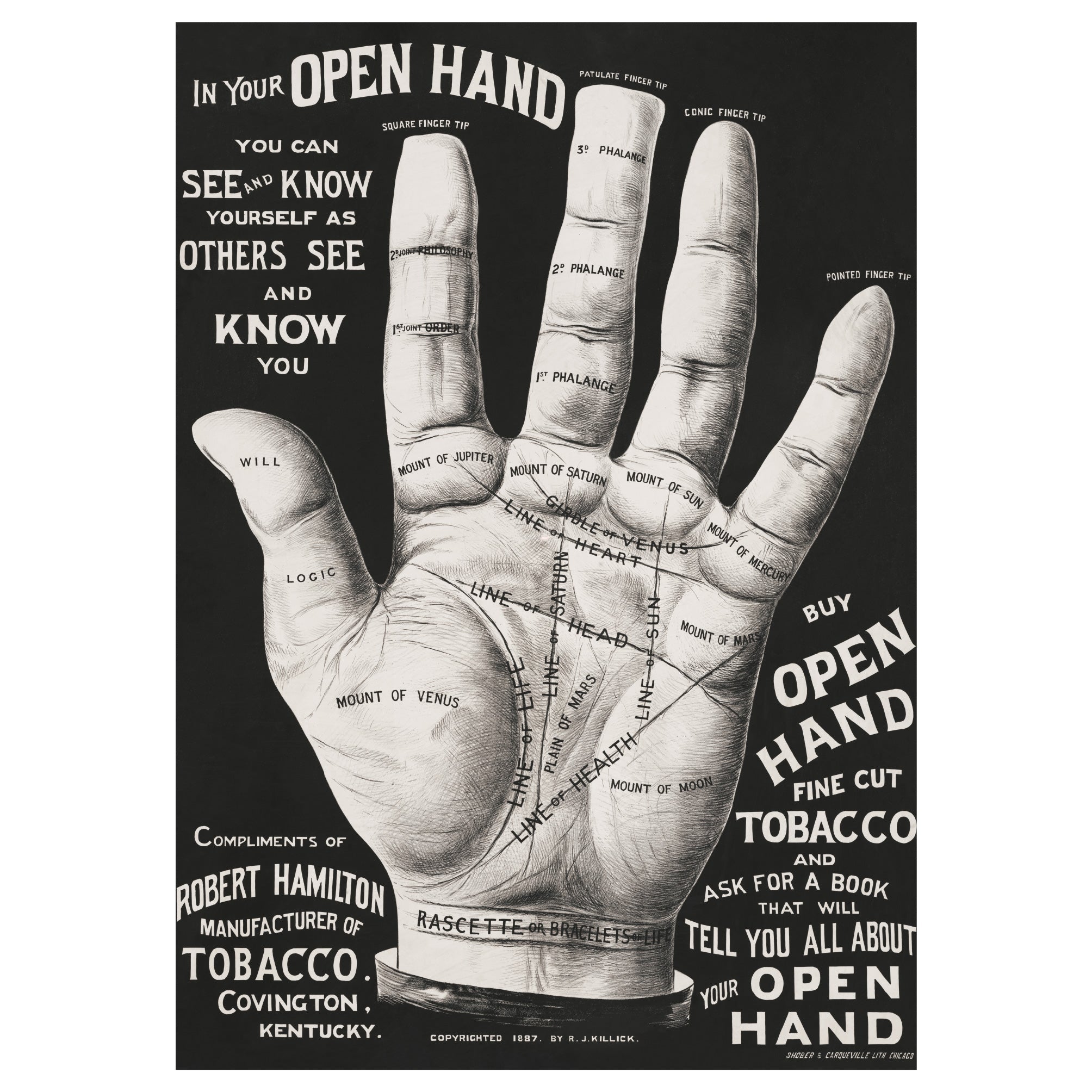 Decorative "Open Hand Cartel" by Robert Hamilton Poster | High - Quality Print | Repositionable Adhesive - Pasquín Store