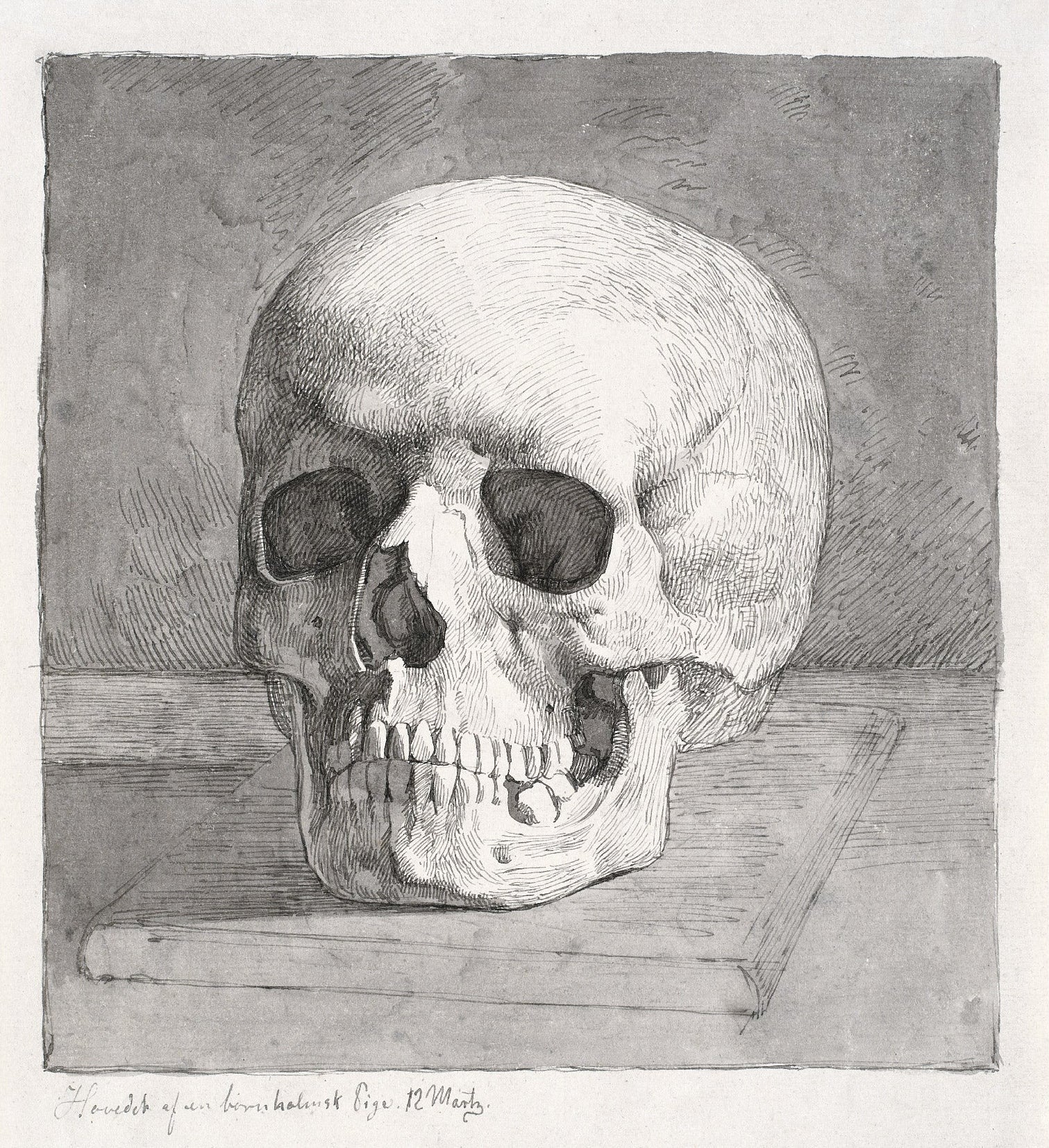 Decorative "Skull, Front View (1839)" by Johan Thomas Lundbye Poster | High - Quality Print | Repositionable Adhesive - Pasquín