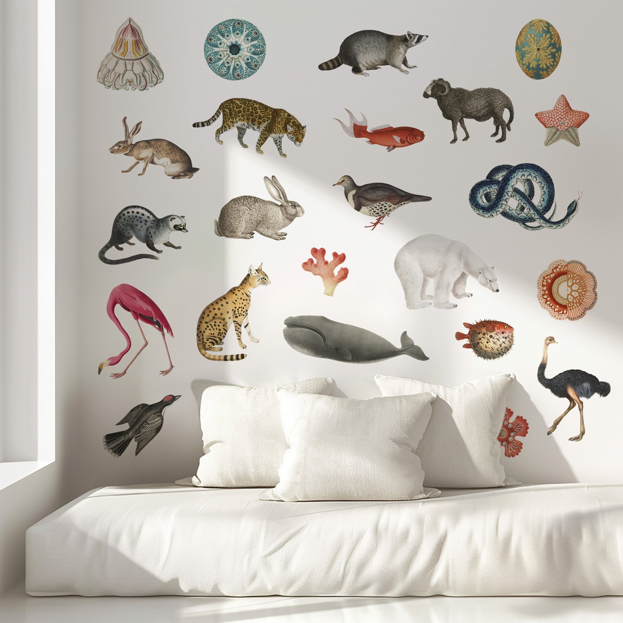 Decorative Vintage Animal Wall Stickers - Multi - Use - Pasquín Store