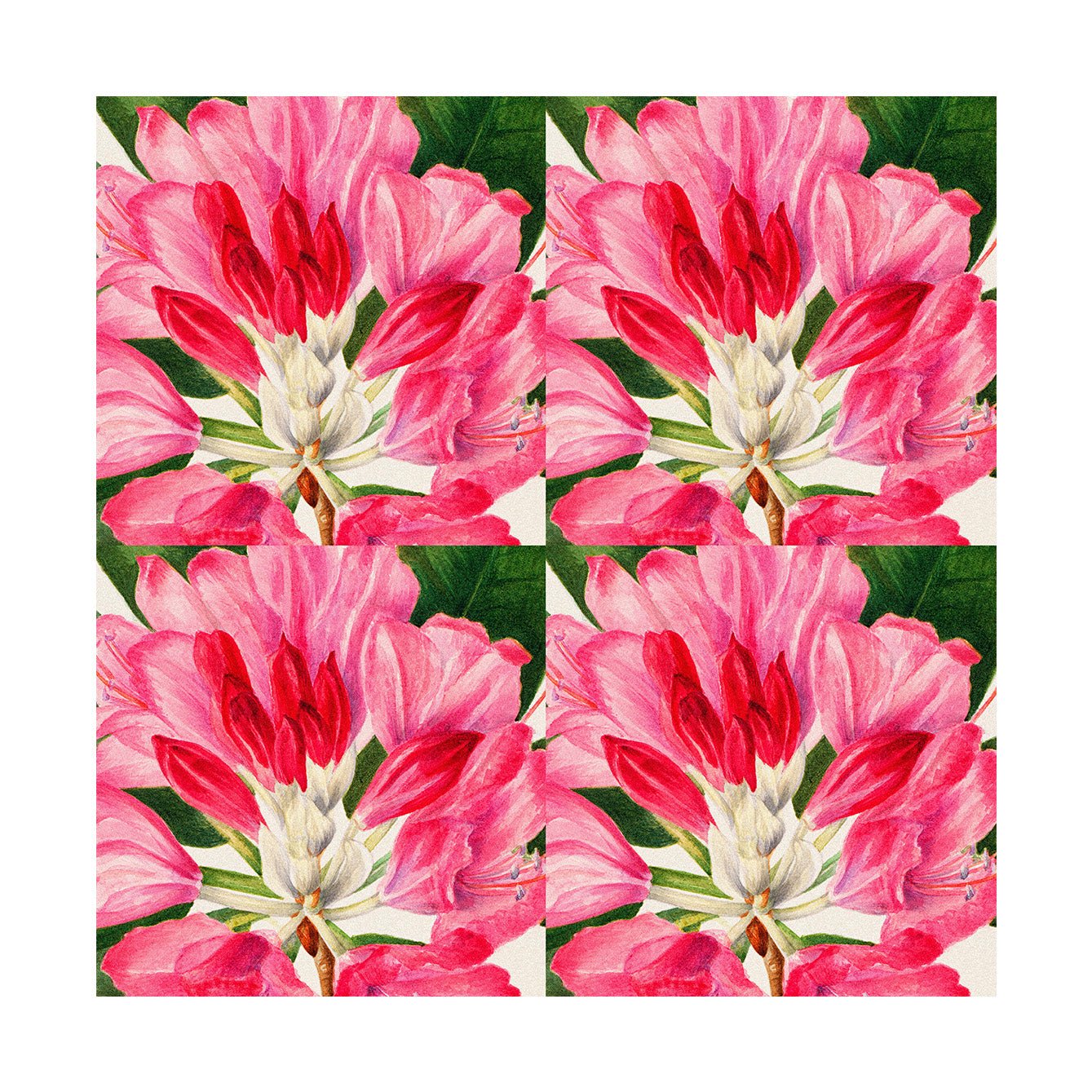 Floral Peel - and - Stick Tiles | Self - Adhesive Pink Floral Design | Limited Edition - Pasquín Store