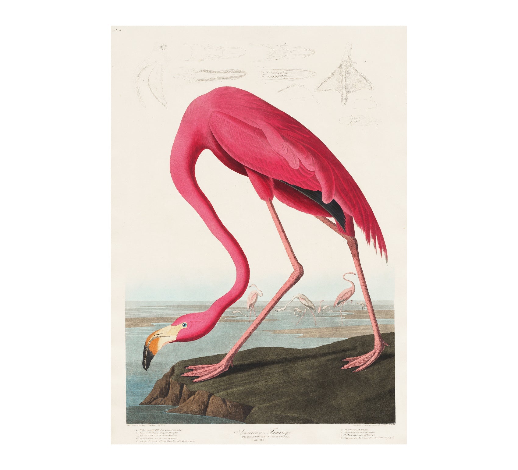 Handmade American Flamingo Art Poster - Repositionable - Pasquín Store