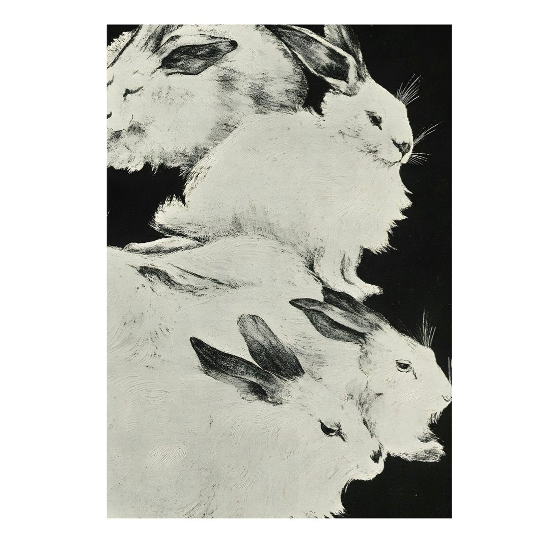 Handmade "Five Angora Rabbits (1898)" by Theo van Hoytema Poster | High - Quality Print | Repositionable Adhesive - Pasquín Store