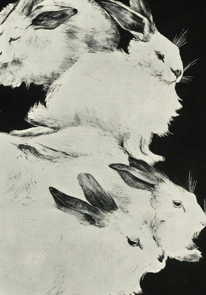 Handmade "Five Angora Rabbits (1898)" by Theo van Hoytema Poster | High - Quality Print | Repositionable Adhesive - Pasquín Store