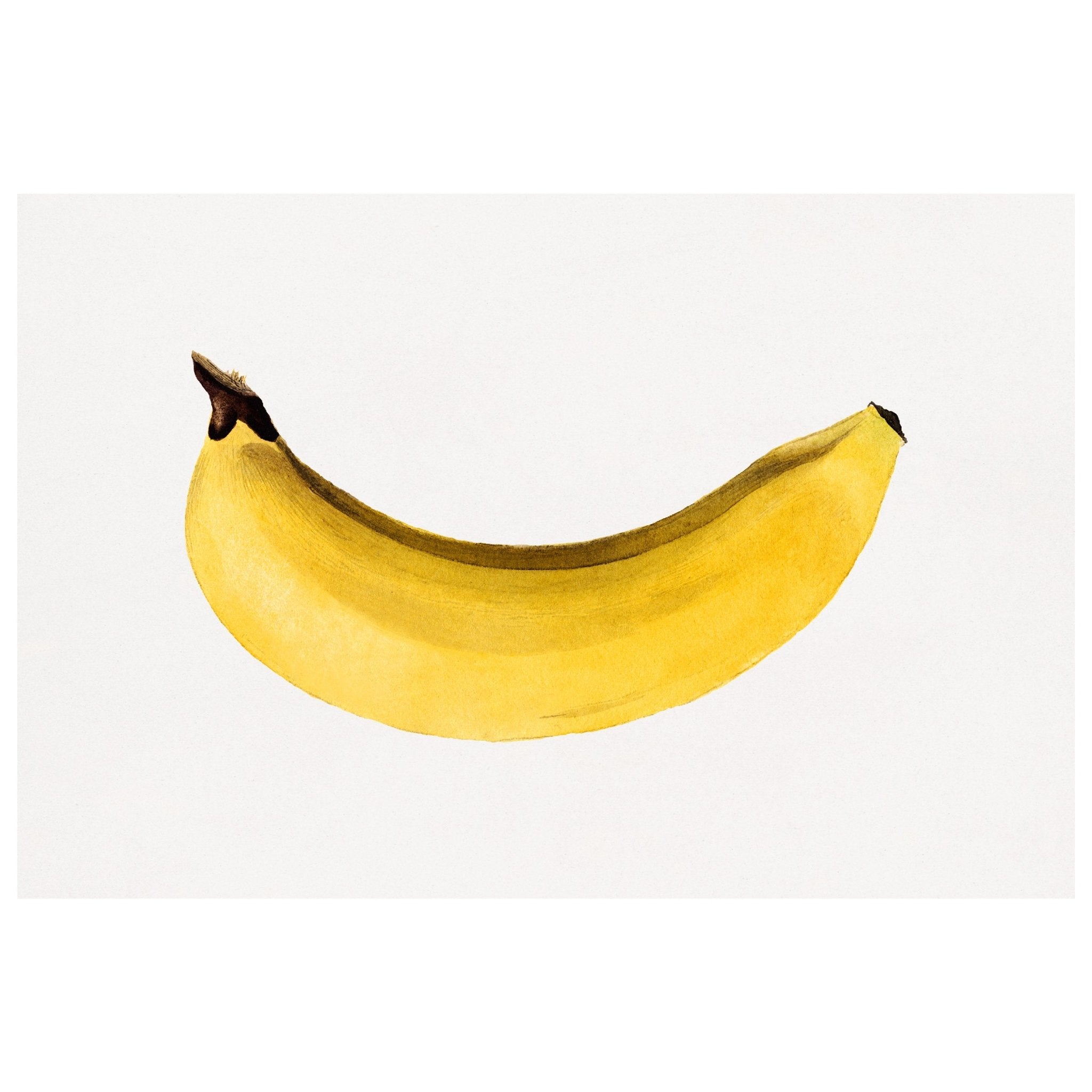 Handmade "Golden Banana" Poster | High - Quality Print | Repositionable Adhesive - Pasquín Store