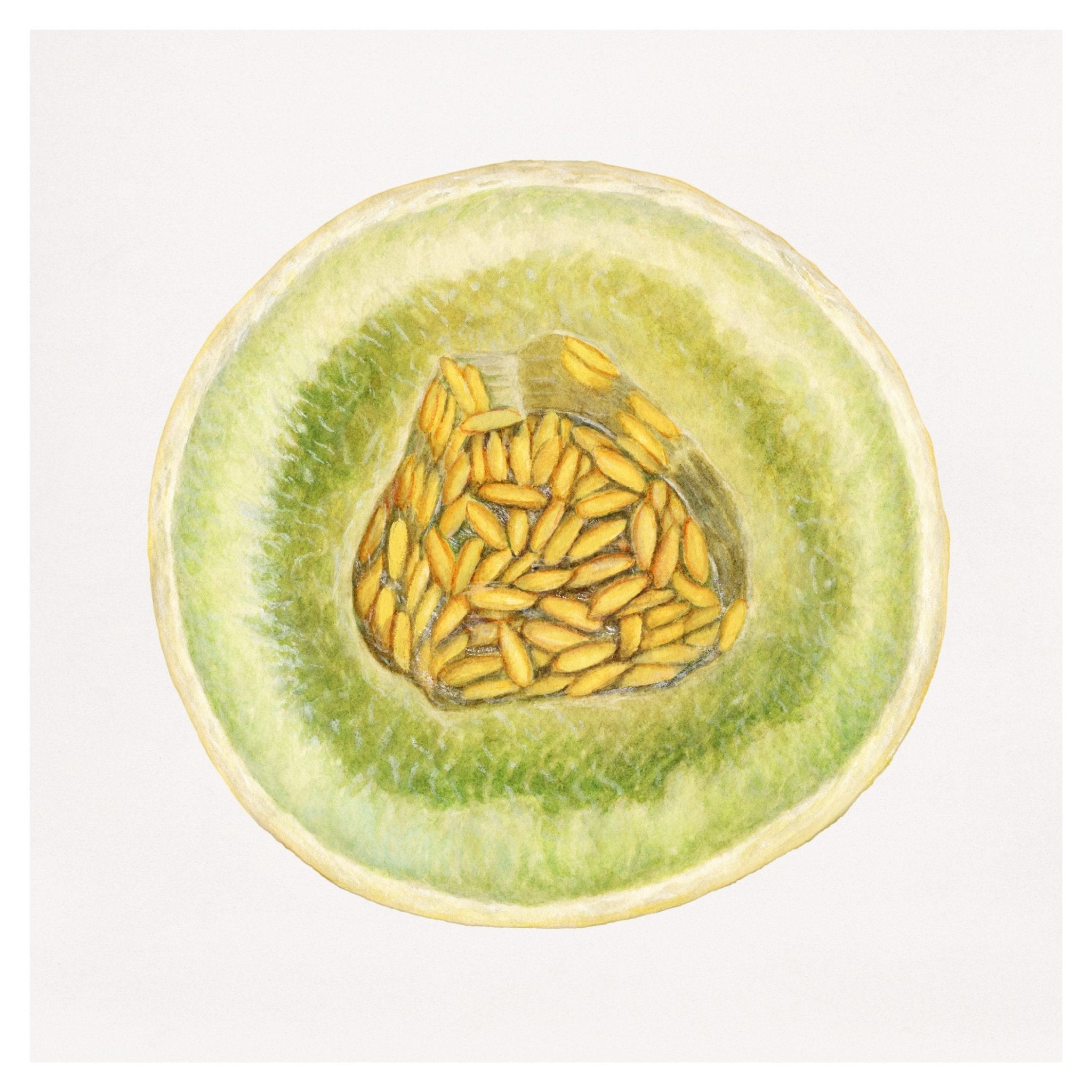 Handmade "Green Melon Slice" Poster | High - Quality Print | Repositionable Adhesive - Pasquín Store