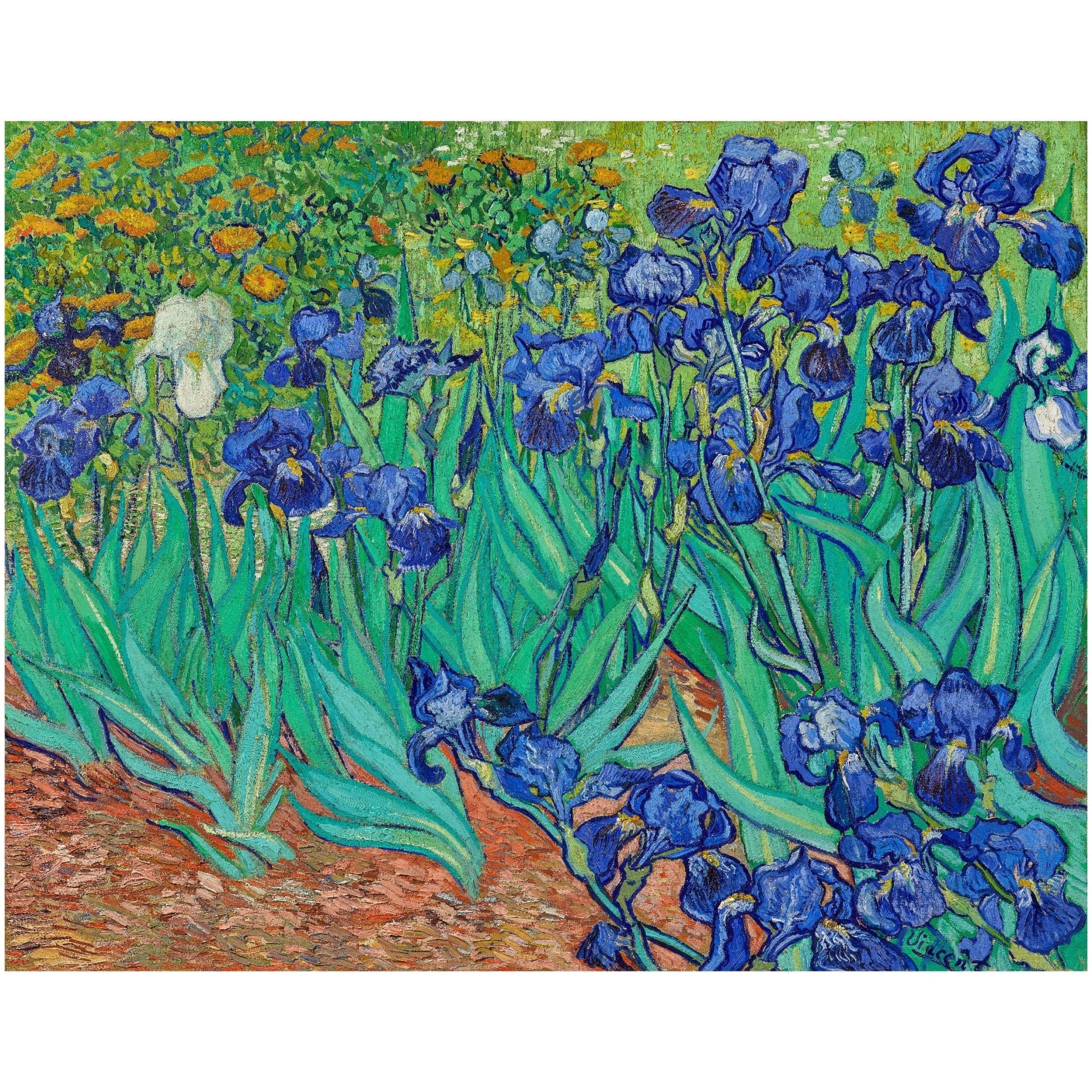 Decorative Irises by Vincent van Gogh Poster | High-Quality Print