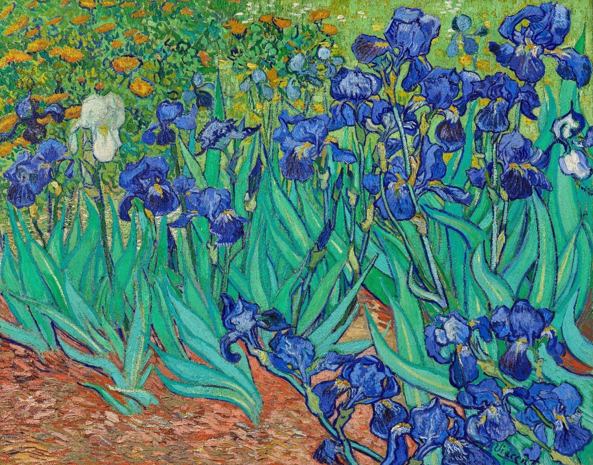 Handmade Irises by Vincent van Gogh Poster | High - Quality Print | Repositionable Adhesive - Pasquín Store