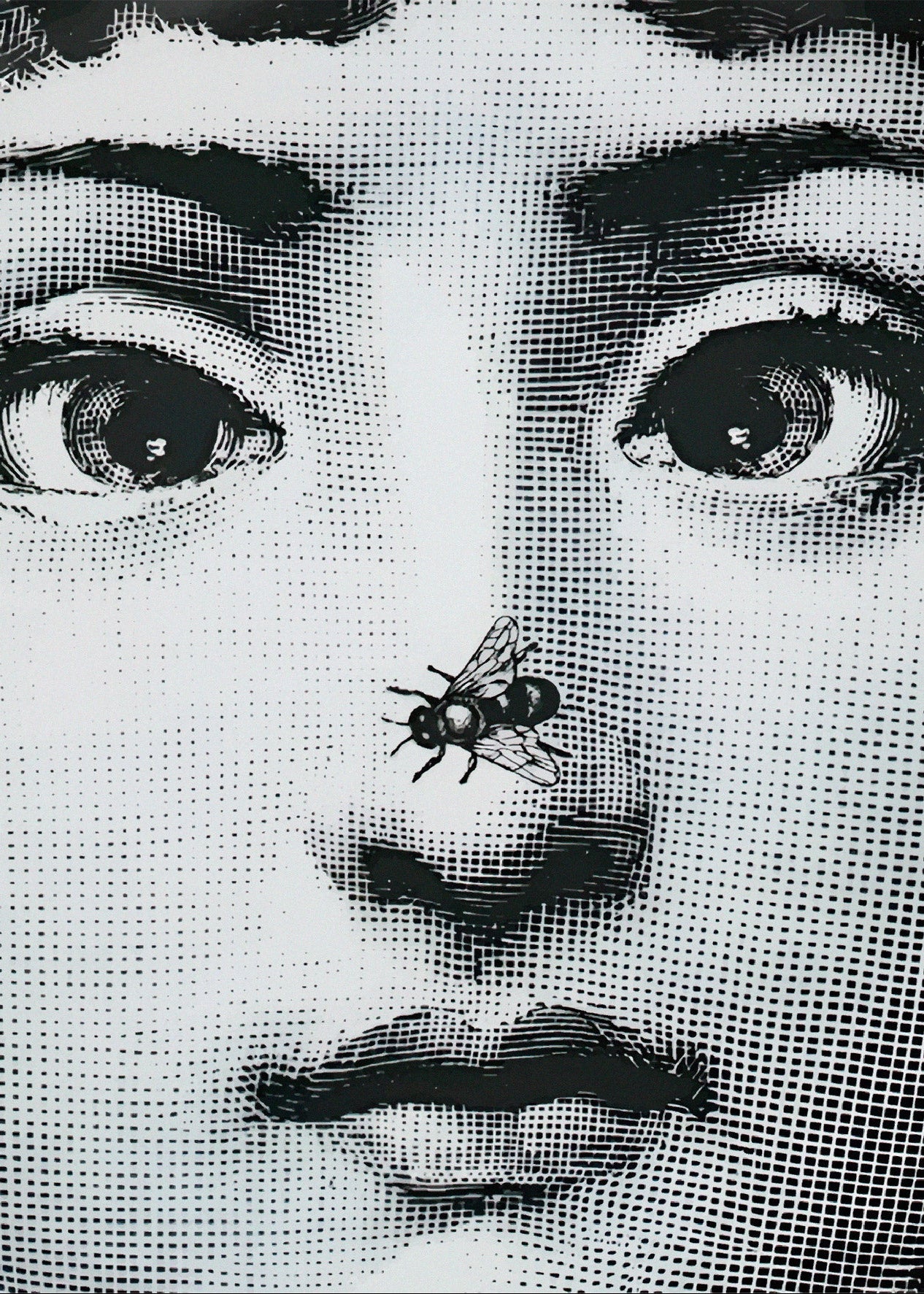 Handmade "Lina's Fly" by P. Fornasetti Poster | High - Quality Print | Repositionable Adhesive - Pasquín Store