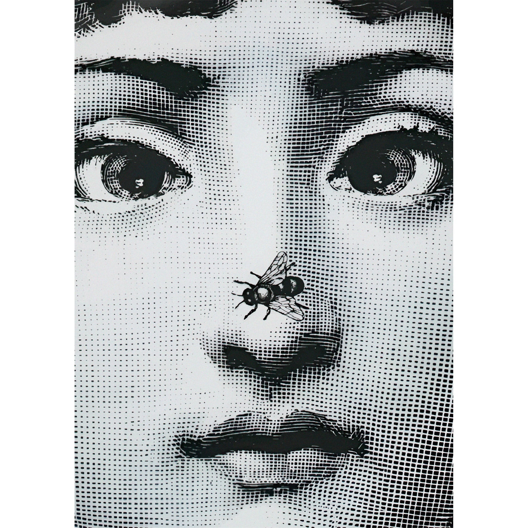 Handmade "Lina's Fly" by P. Fornasetti Poster | High - Quality Print | Repositionable Adhesive - Pasquín Store