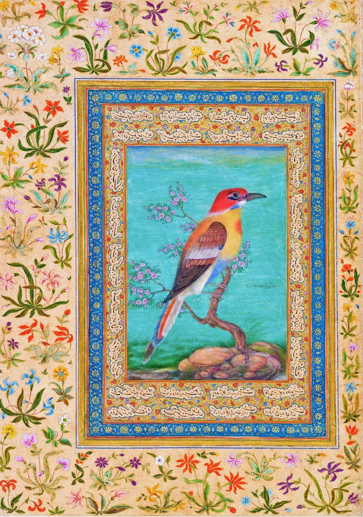 Handmade "Shah Jahan Album: Colored Red Bird " Poster | High - Quality Print | Repositionable Adhesive - Pasquín Store