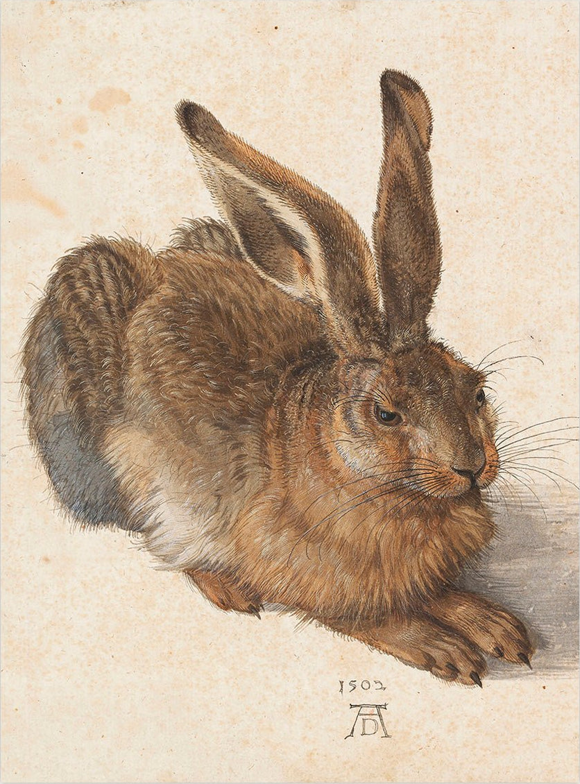 Handmade "Young Hare (1502)" by Albrecht Dürer Poster | High - Quality Print | Repositionable Adhesive - Pasquín Store
