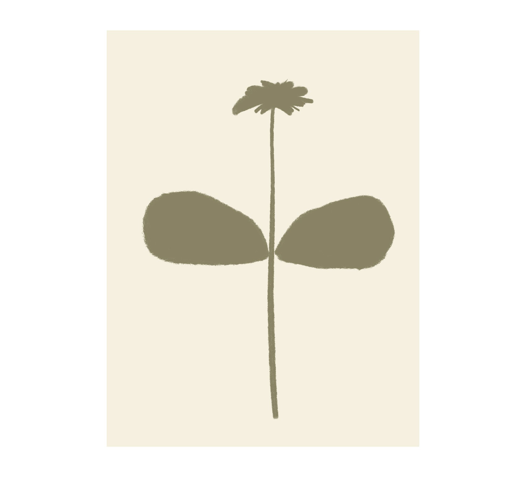 Premium Quality Botanical Beauty Repositionable Posters - Pasquín Store