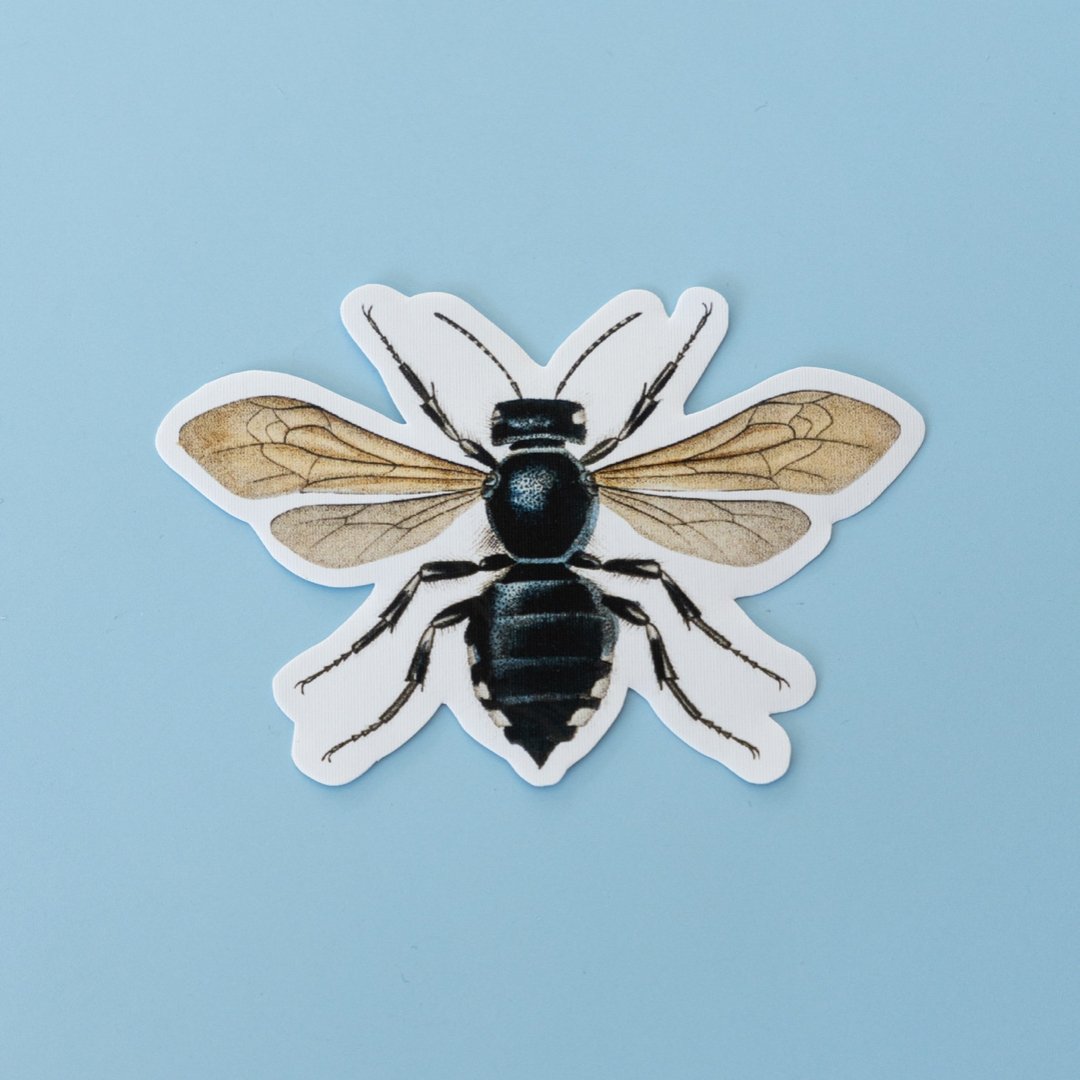 Repositionable Sticker: Vintage Bees | High - Quality Print | Water - Resistant - Pasquín Store