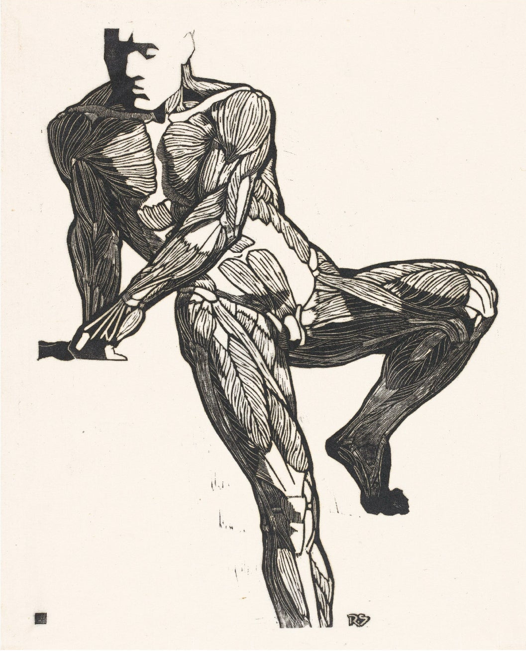 Reusable Decorative Art Poster - Human Body 03 Vintage Book Illustration - Pasquín Store