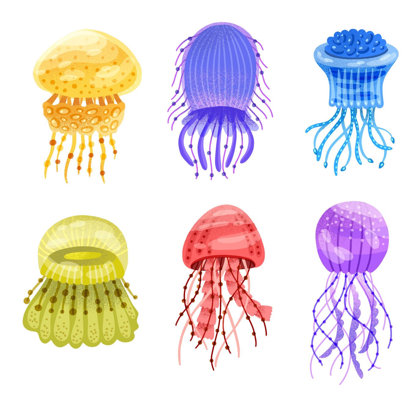 Set of 10 Reusable Stickers: Jellyfish | High - Quality Print | Water - Resistant - Pasquín Store