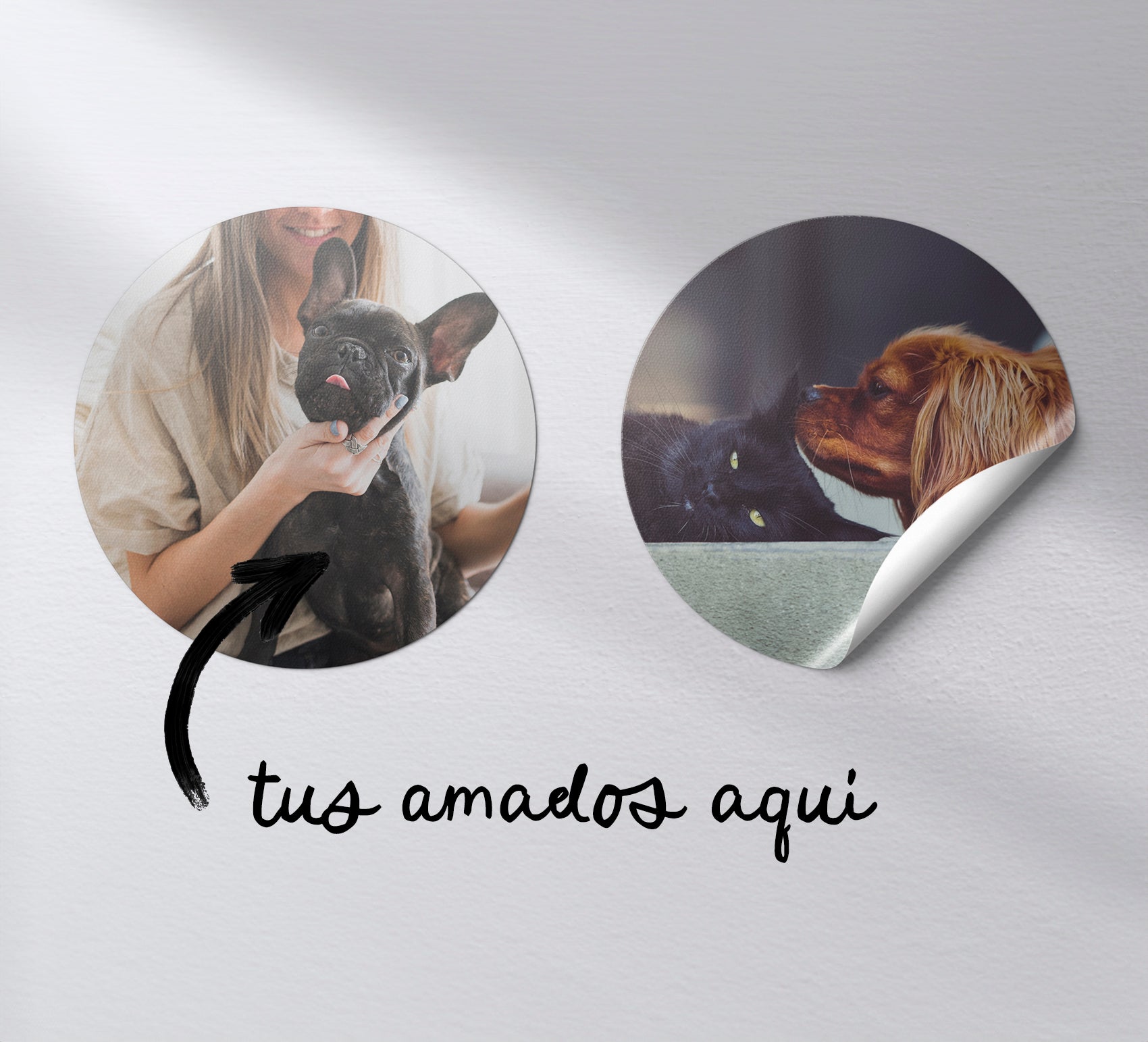 Stickers Personalizados Reposicionables - Arte a Medida para Paredes y Muebles - Pasquín Store