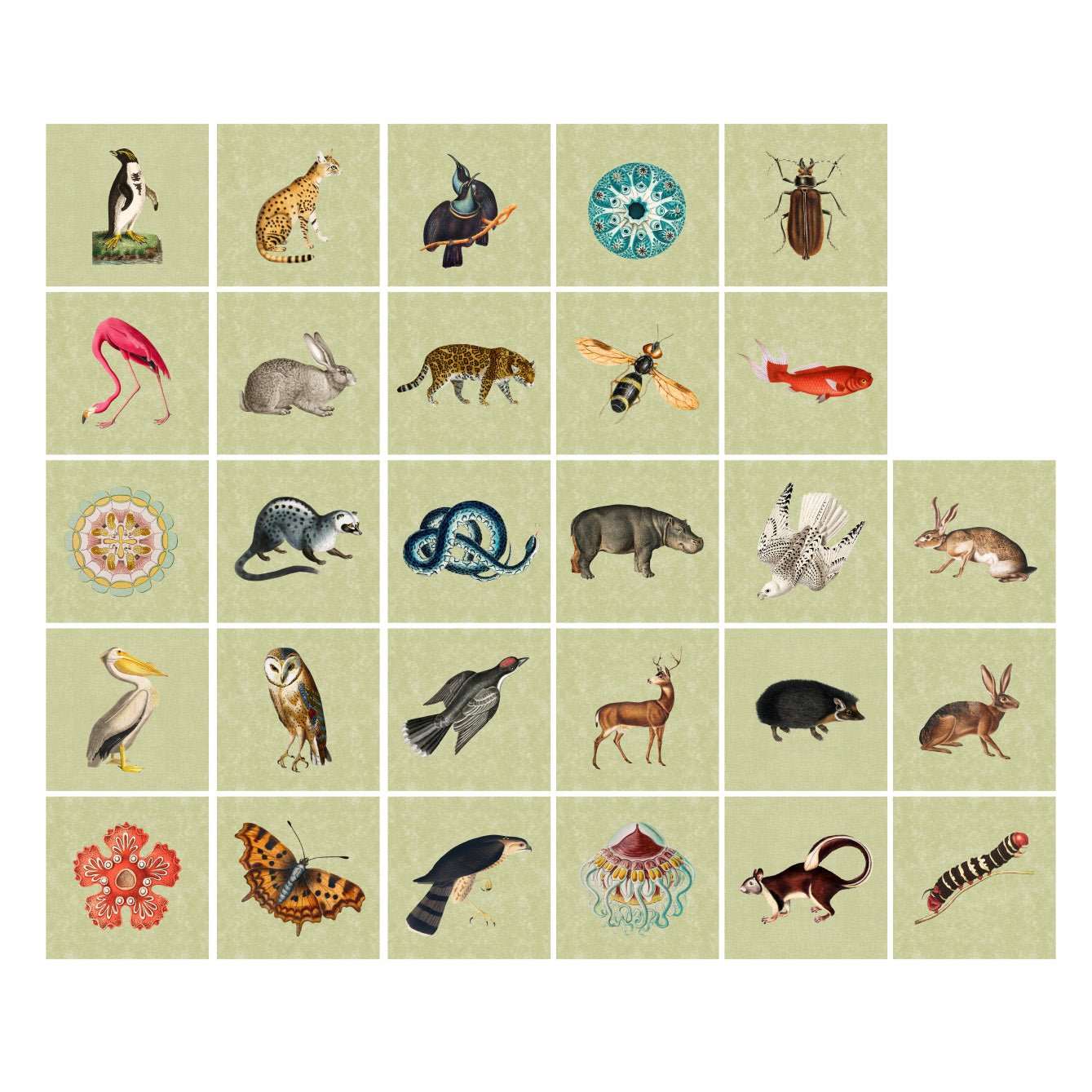 Tile Pasquín 16 Vintage Animals - Peel - and - Stick Adhesive Tiles - Pasquín Store