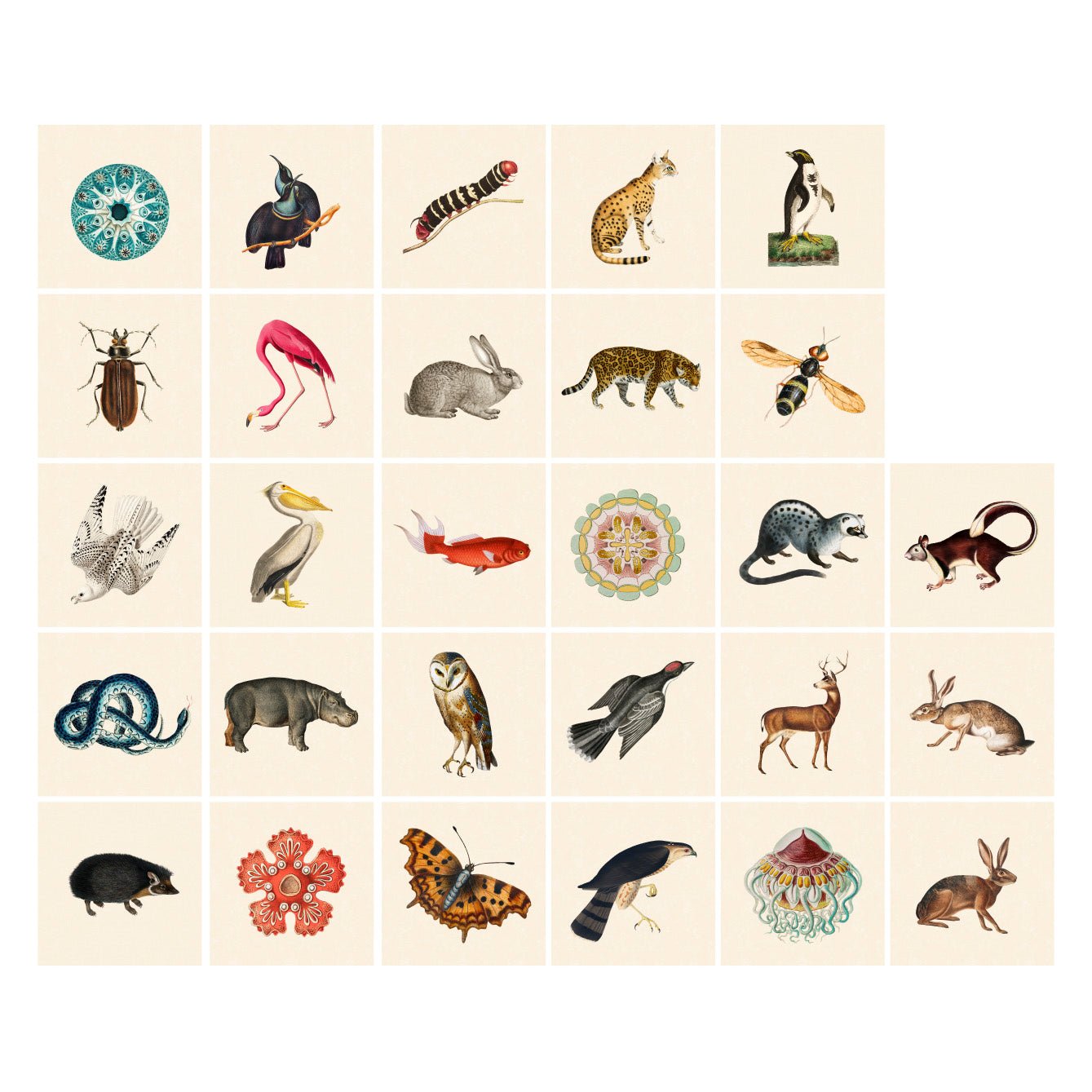 Tile Pasquín 16 Vintage Animals - Peel - and - Stick Adhesive Tiles - Pasquín Store