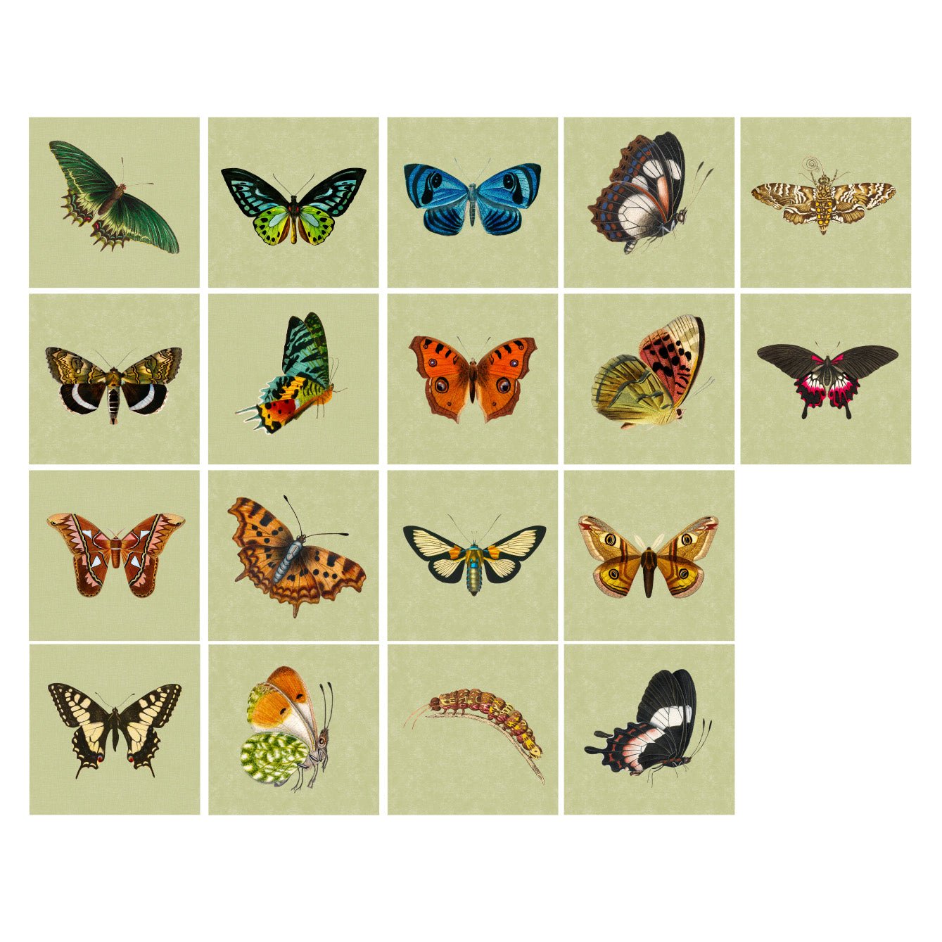 Tile Pasquín 17 Butterflies - Peel - and - Stick Adhesive Tiles - Pasquín Store