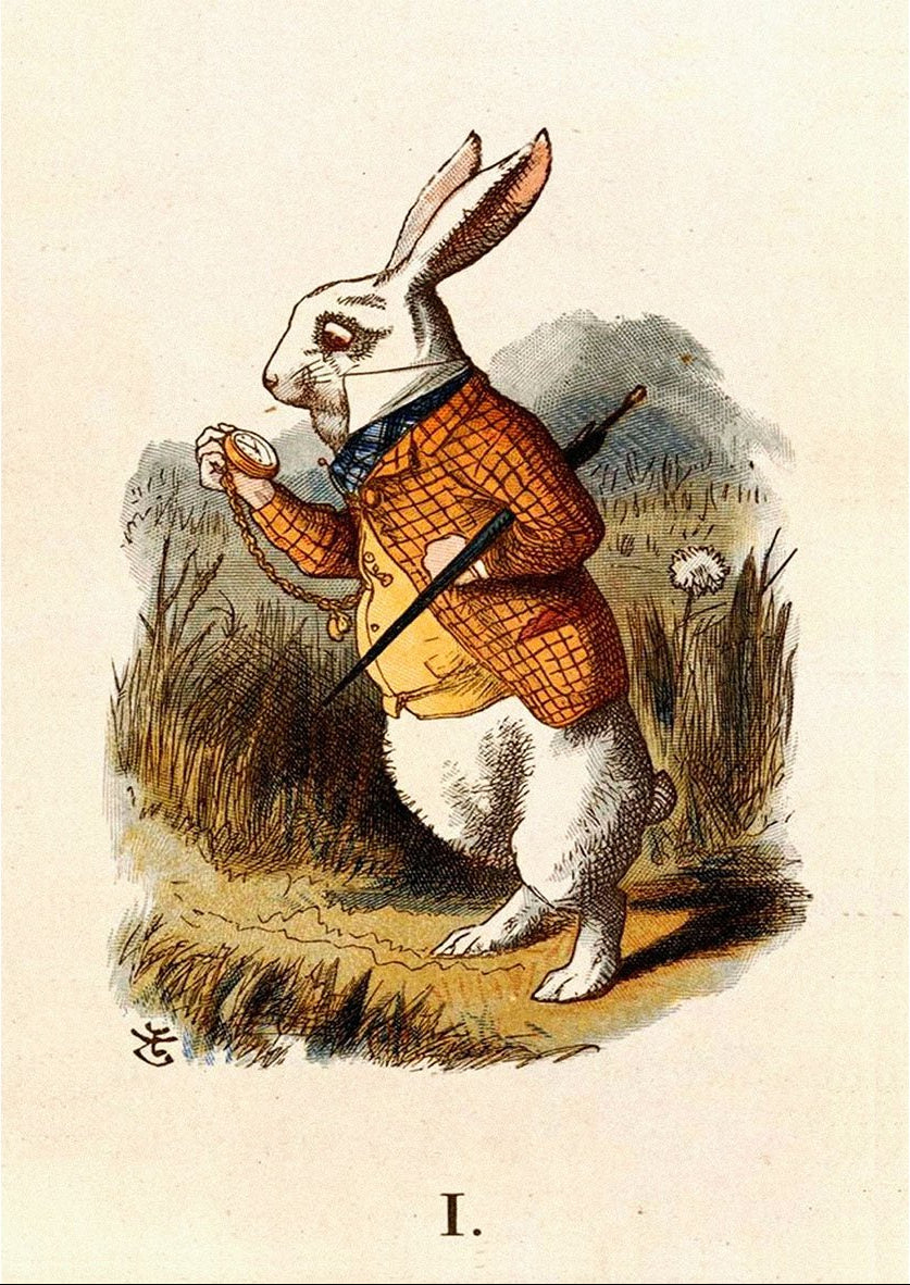 Vintage Alice’s Rabbit Art Poster | Repositionable Adhesive | Limited Edition - Pasquín Store