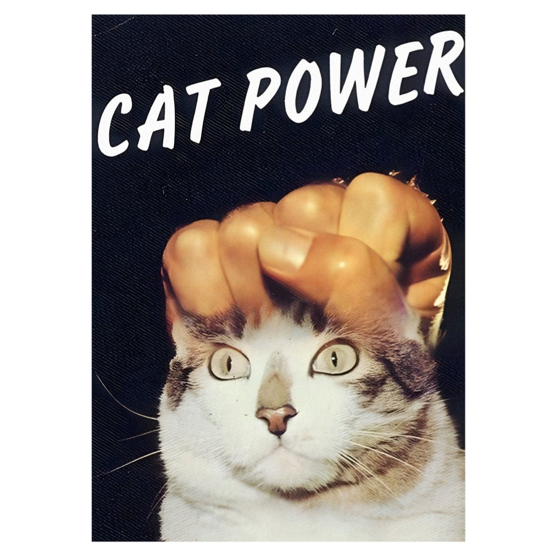 Mini poster adhesivo y reposicionable: Cat Power - Tienda Pasquín