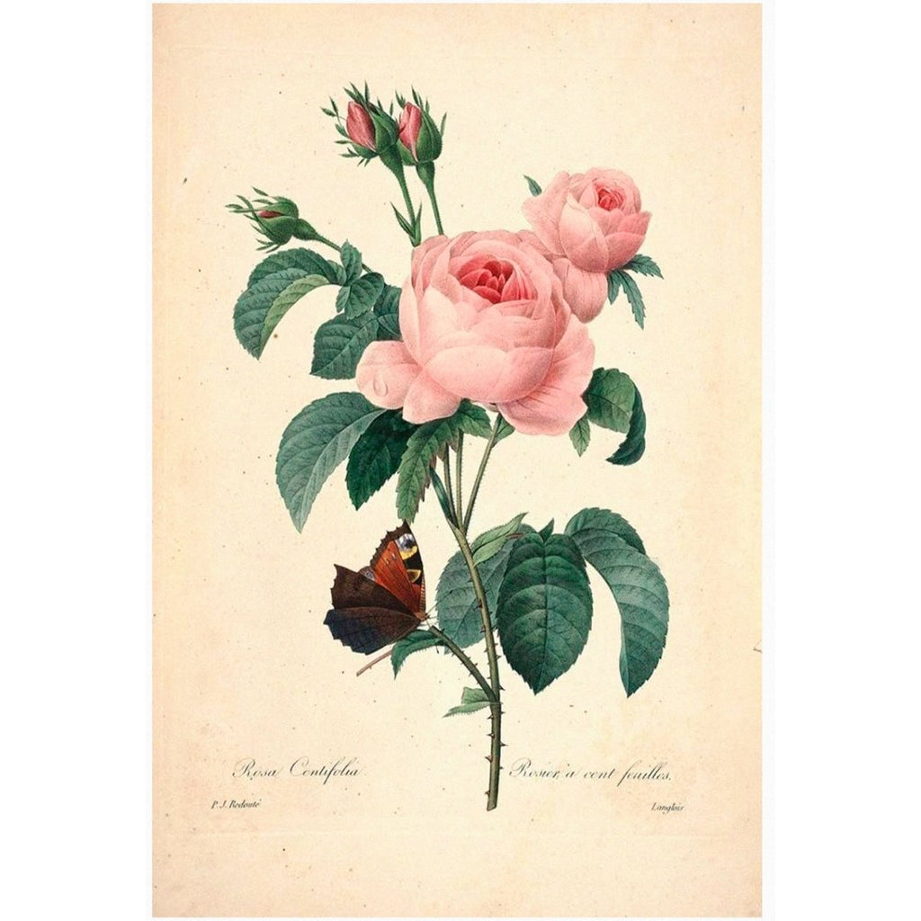 Mini poster adhesivo y reposicionable: Flores rosa pastel vintage - Tienda Pasquín