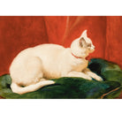 Mini poster adhesivo y reposicionable: gato blanco de John Frederick - Tienda Pasquín