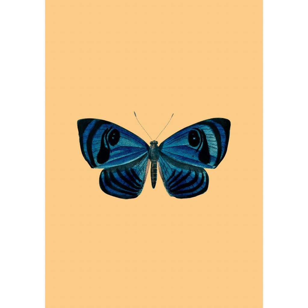 Mini poster adhesivo y reposicionable: Mariposa naranja - Tienda Pasquín